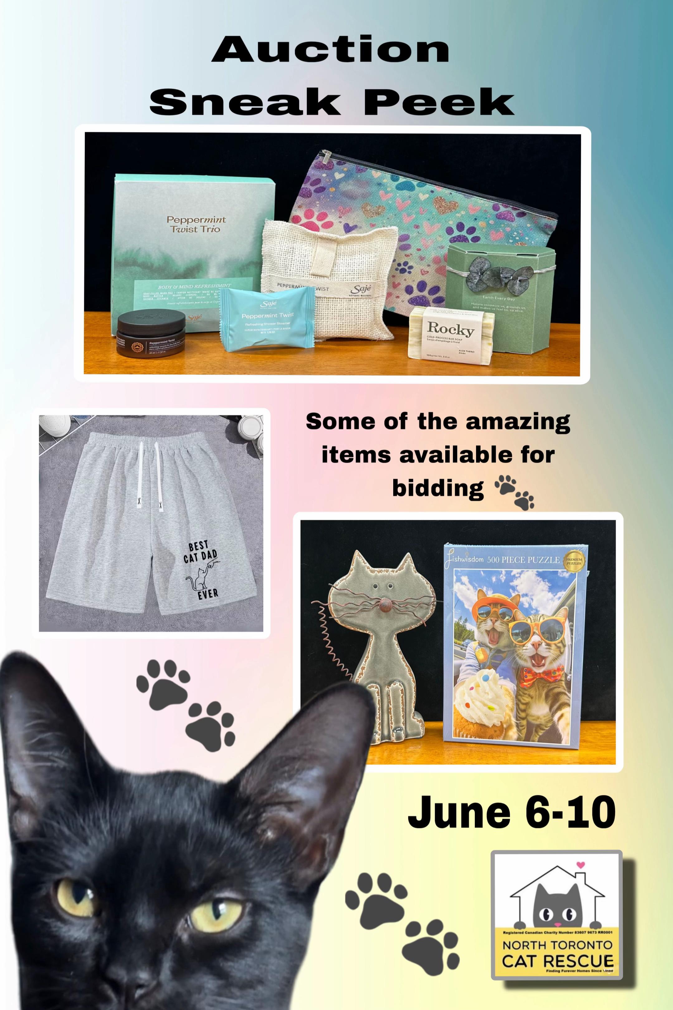 @North Toronto Cat Rescue