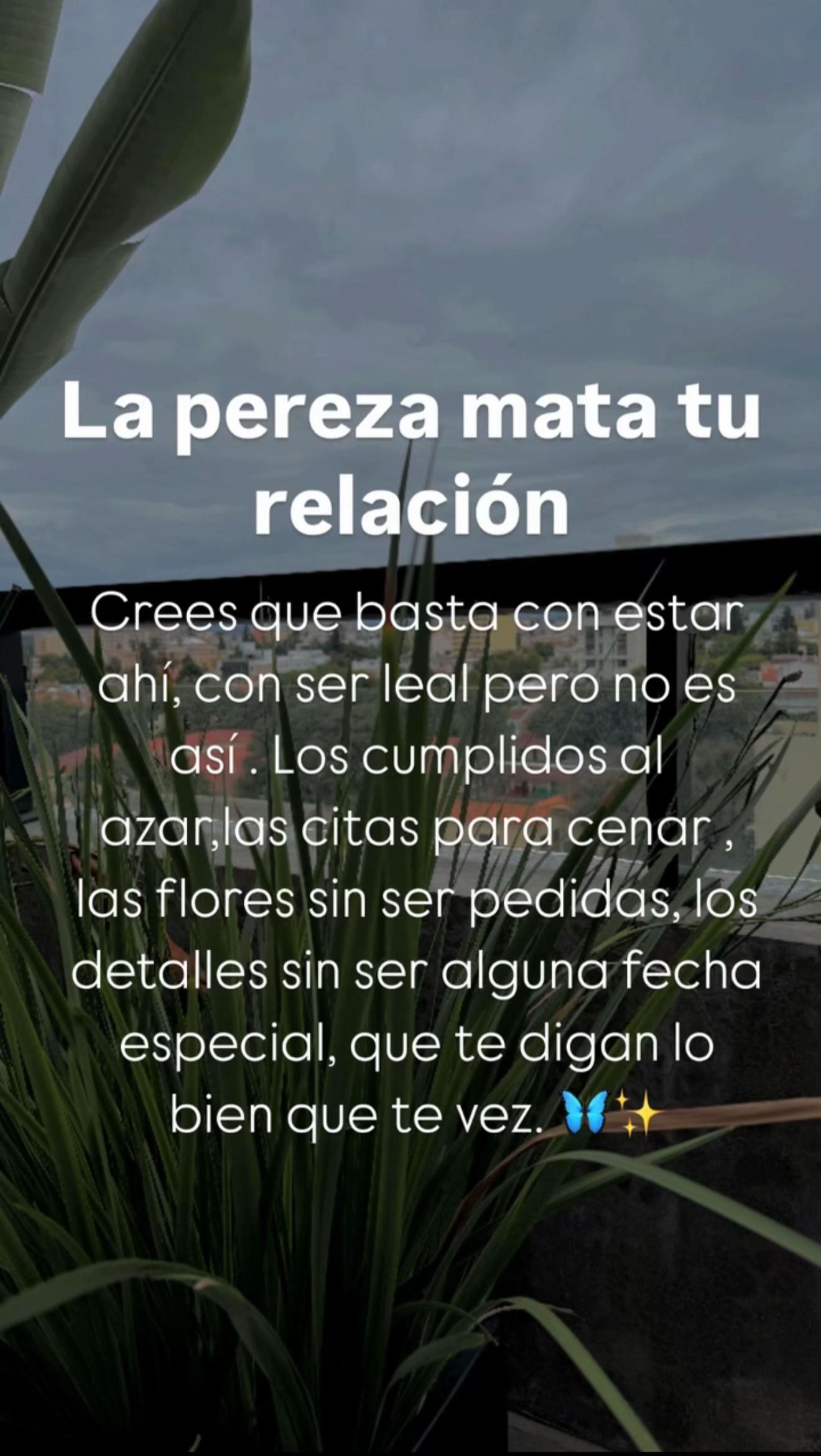 @Maria jose Toledo