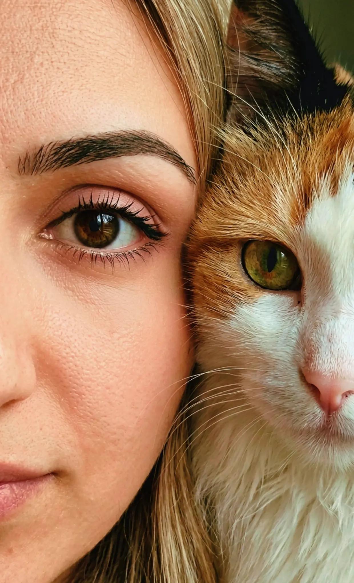 @Civelekoğlu