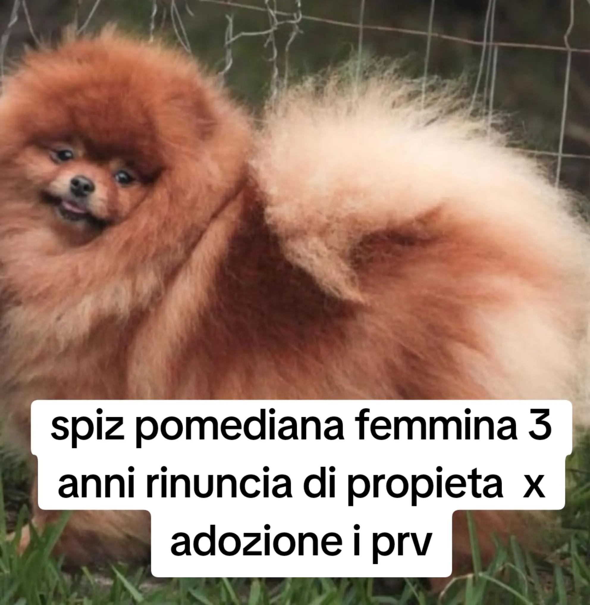 @Gina Boccia