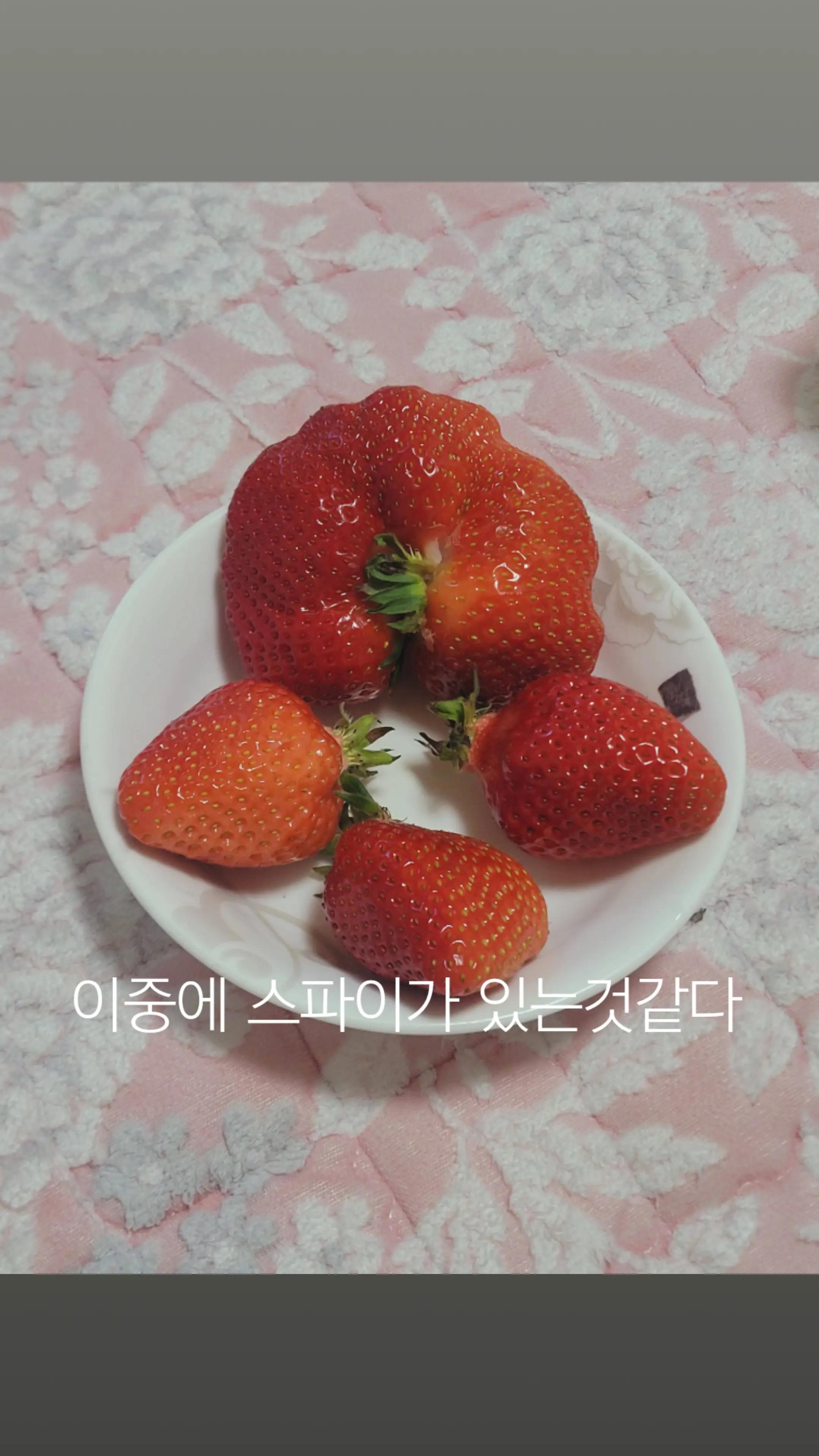 @현대차주✔️