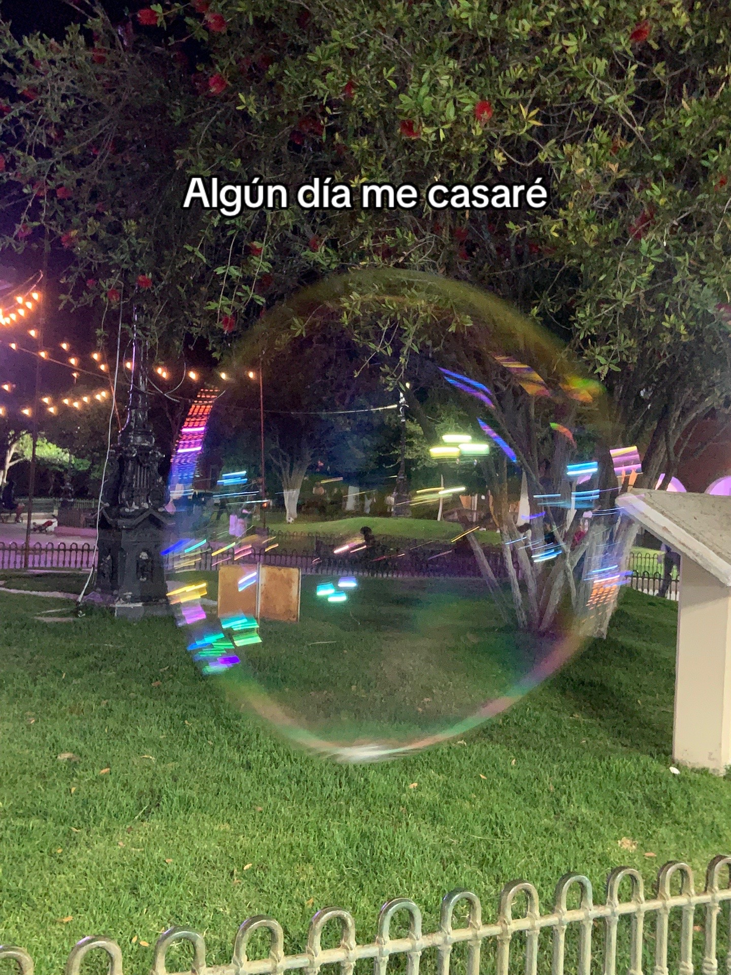 @Cha⁷🪼