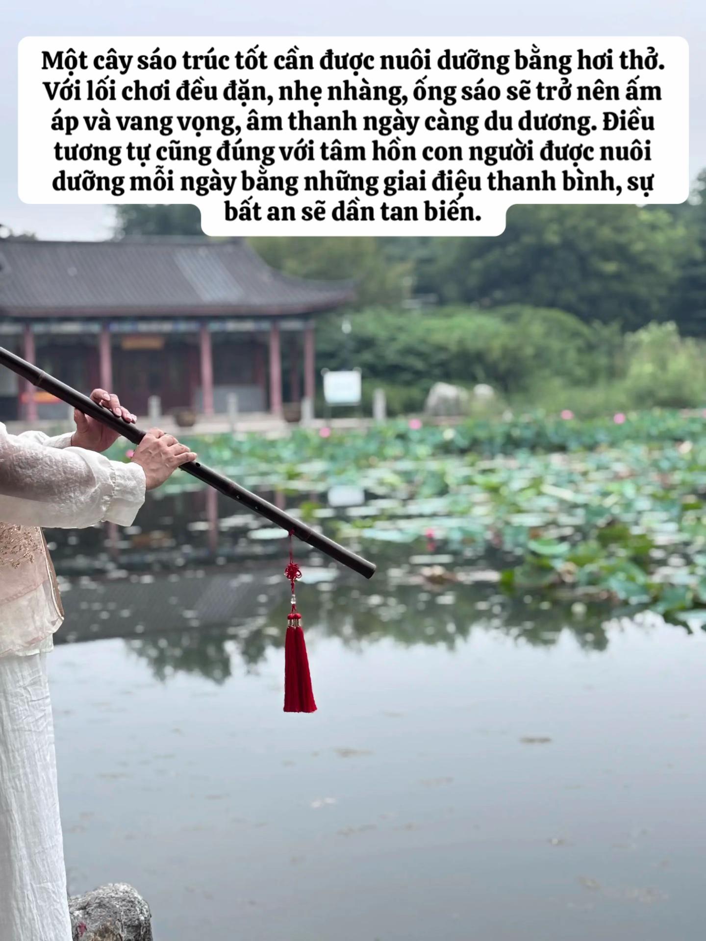 @🎋爱竹笛 Đam M&ecirc; S&aacute;o Tr&uacute;c 🪈