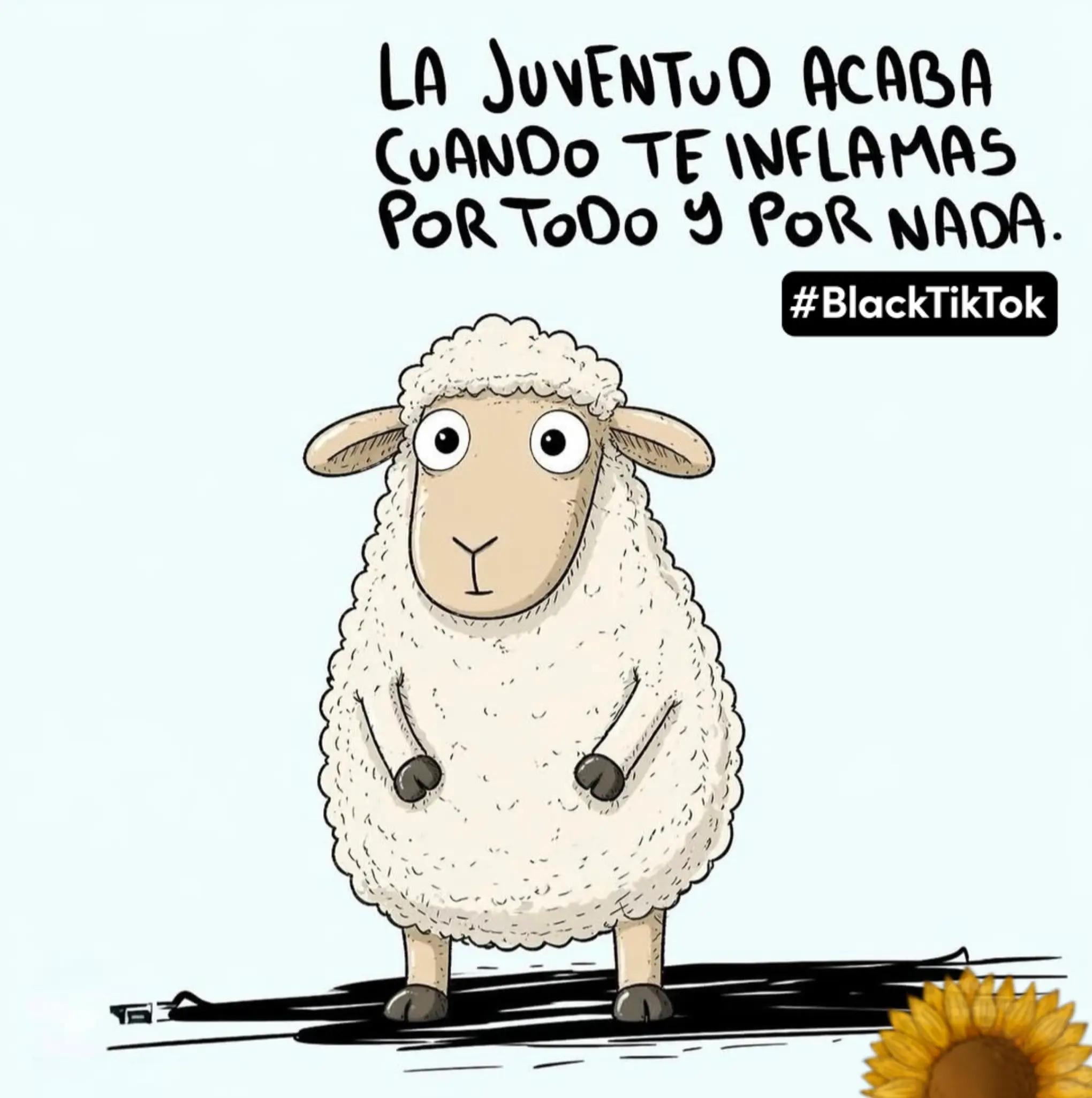@I.sotelo
