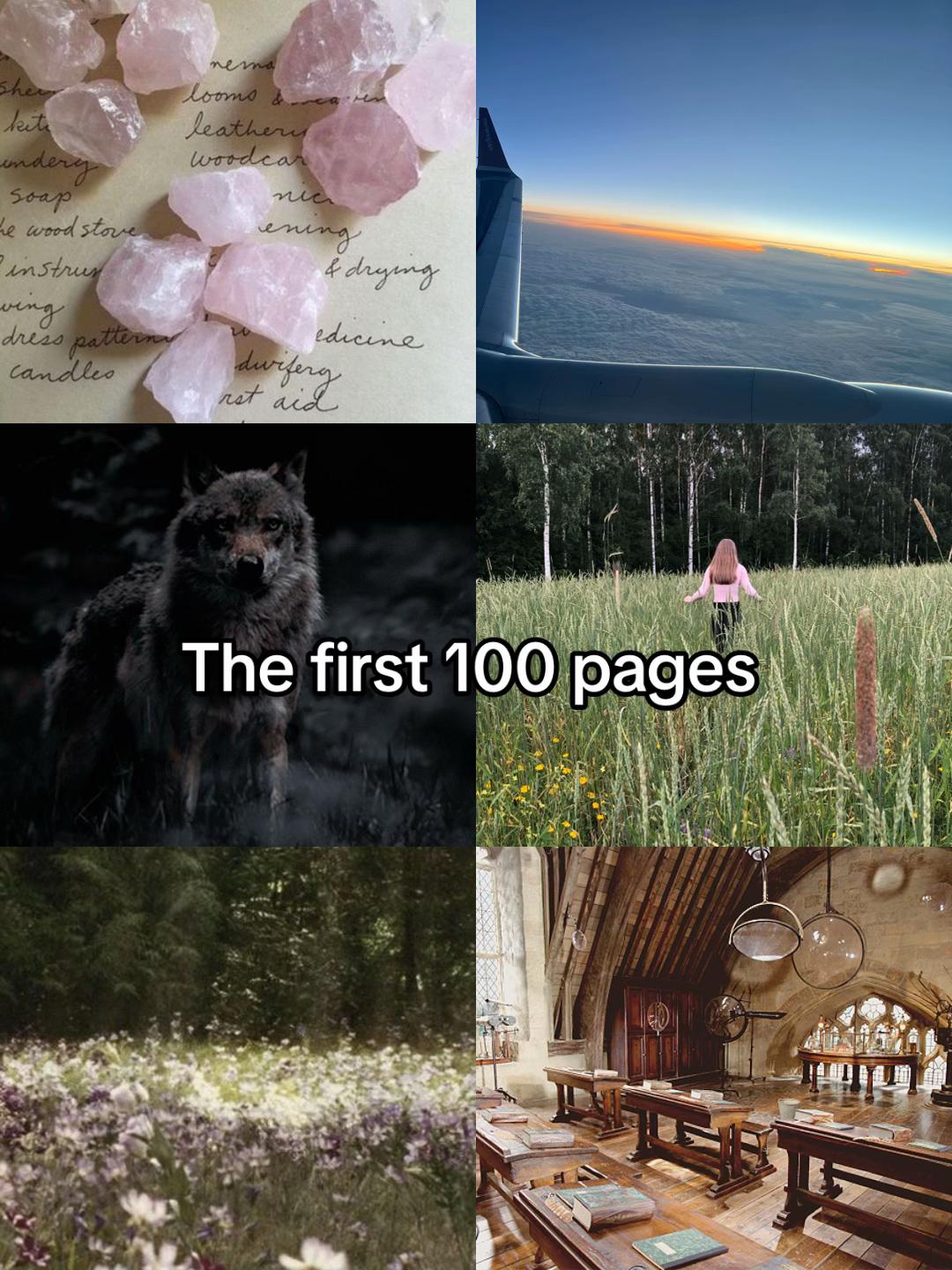 @Hermione🦋📚