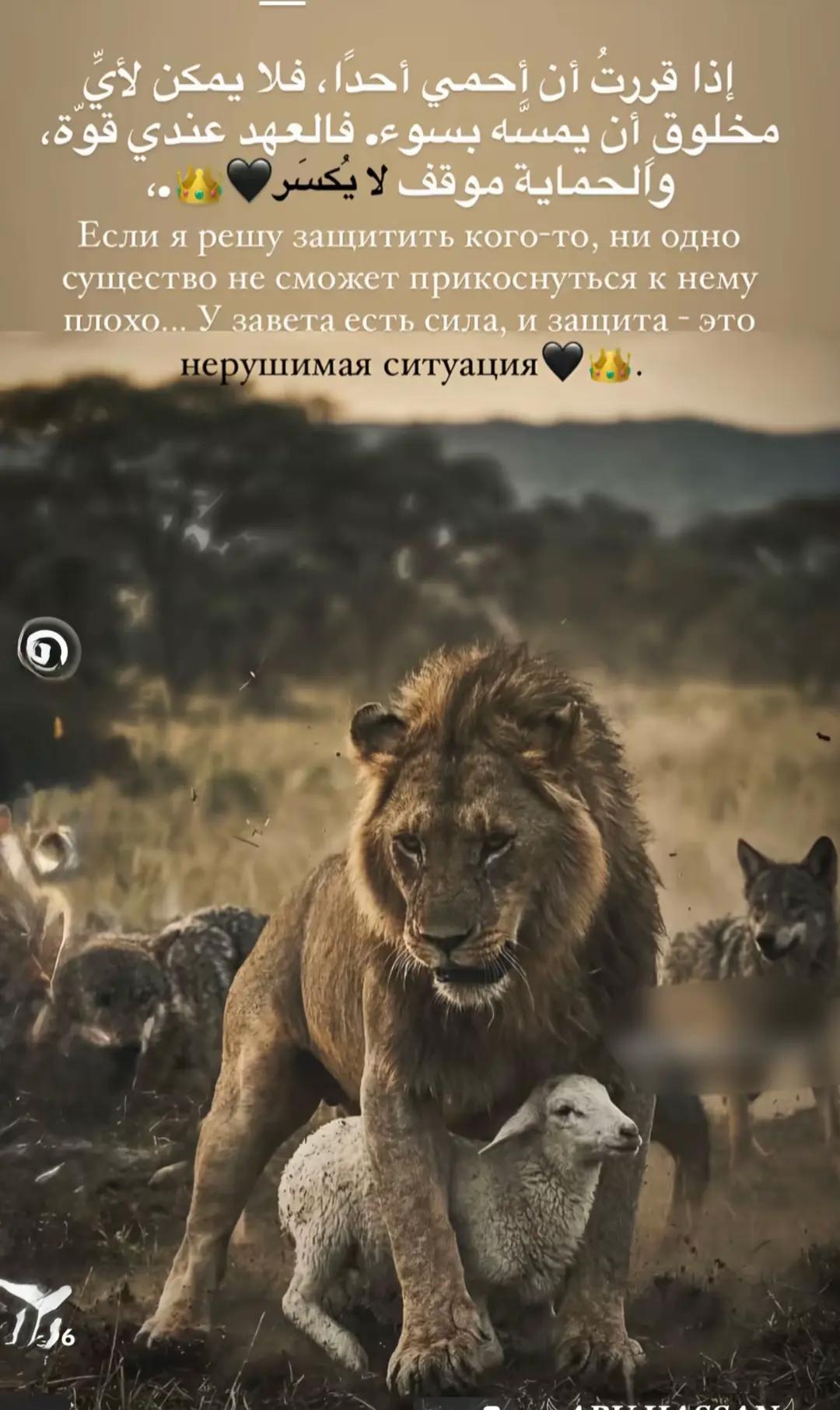 @فارس الخواجه