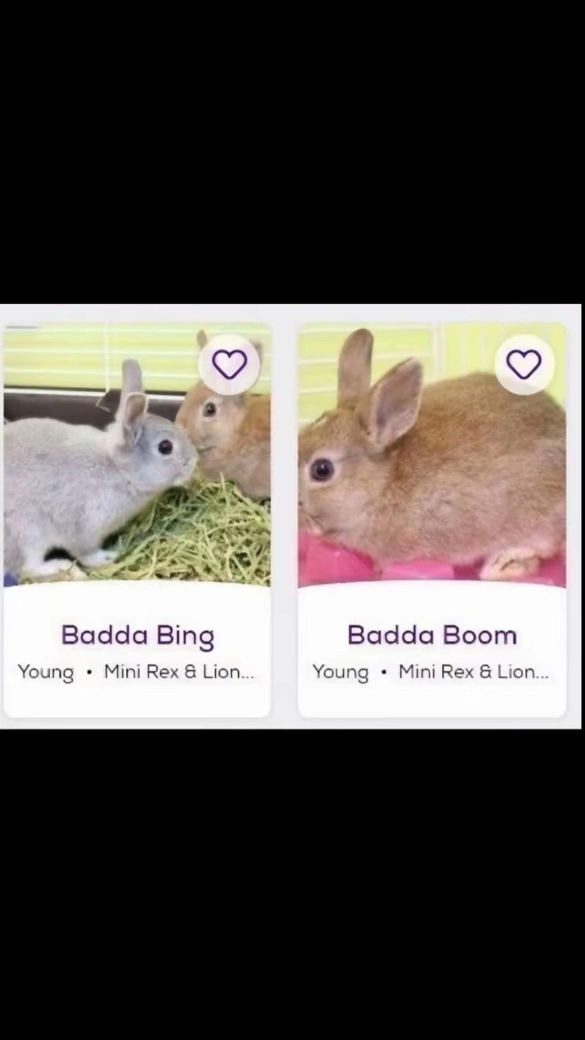 @🧁🧁🧁