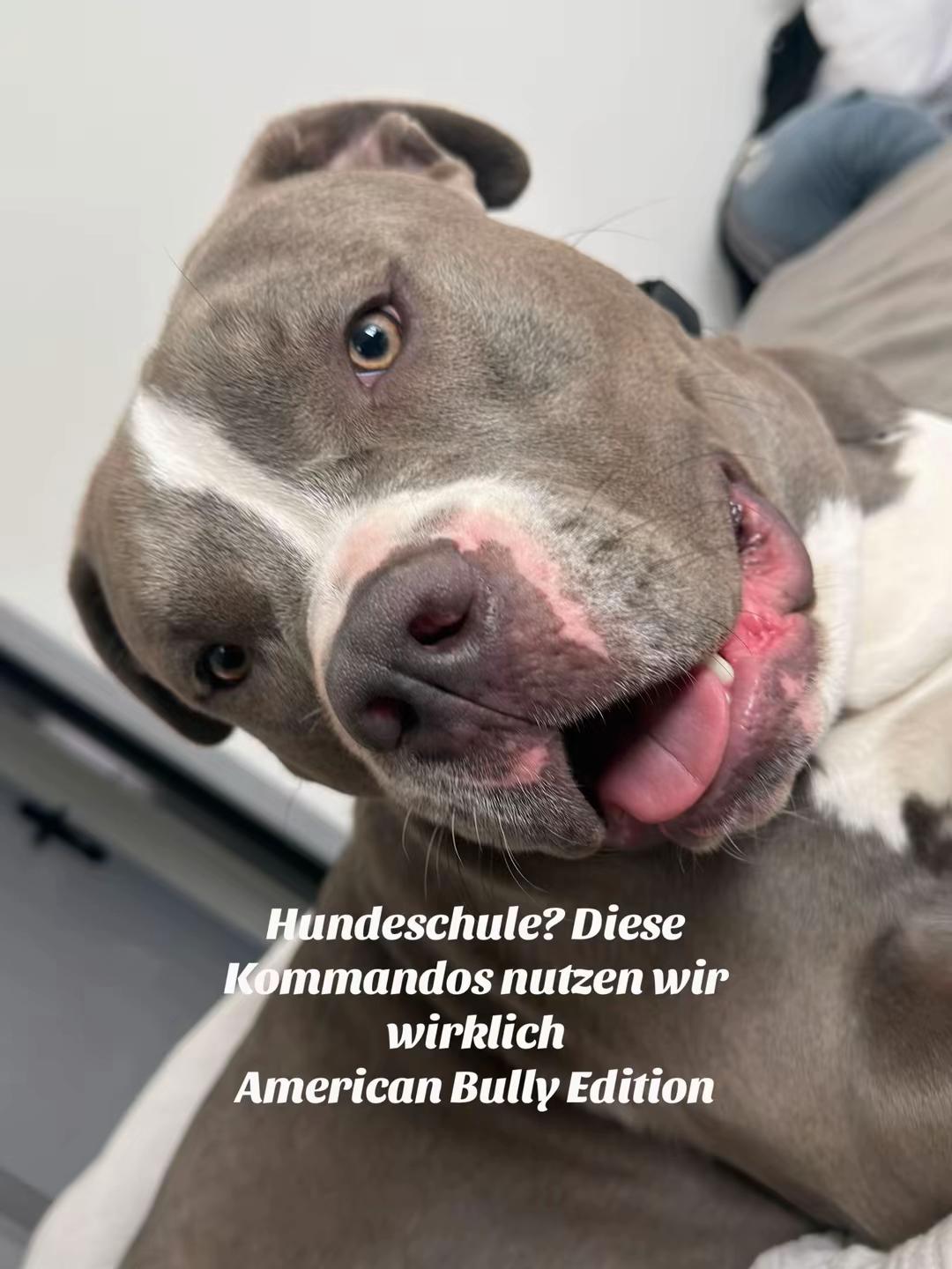 @romeo.der.bully