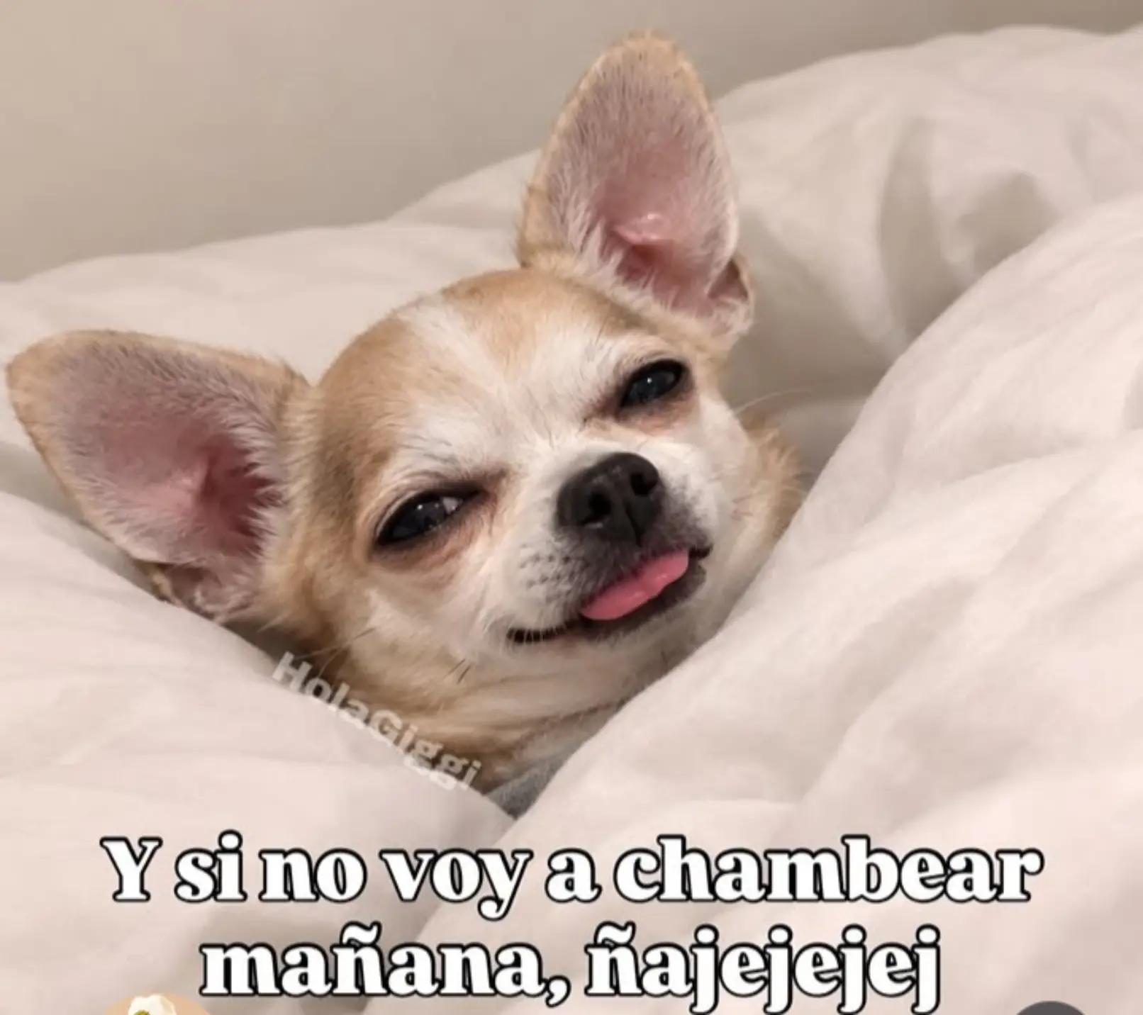@Davmor