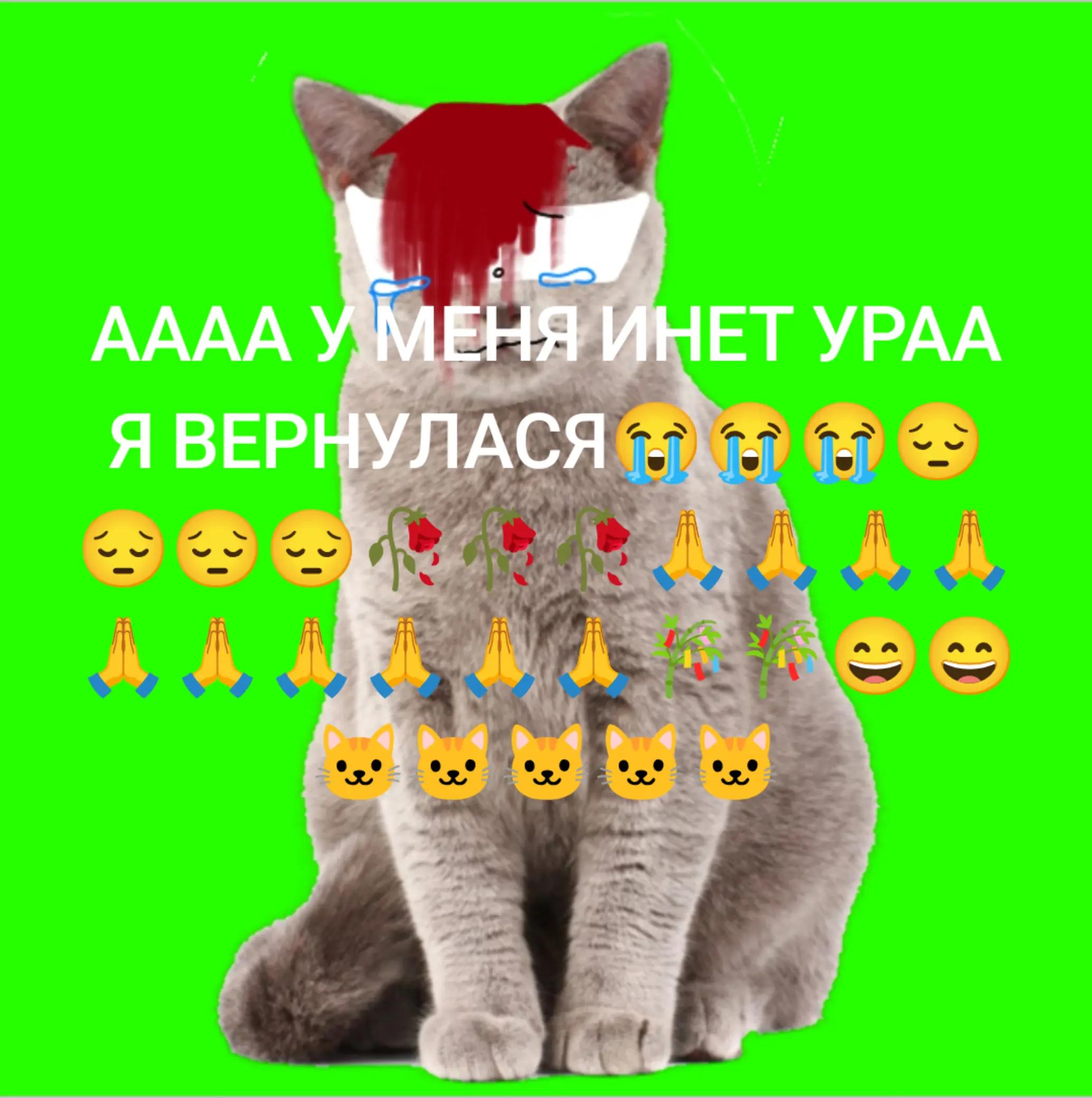 @собака Лейси👑|||🐶✅🐱✅