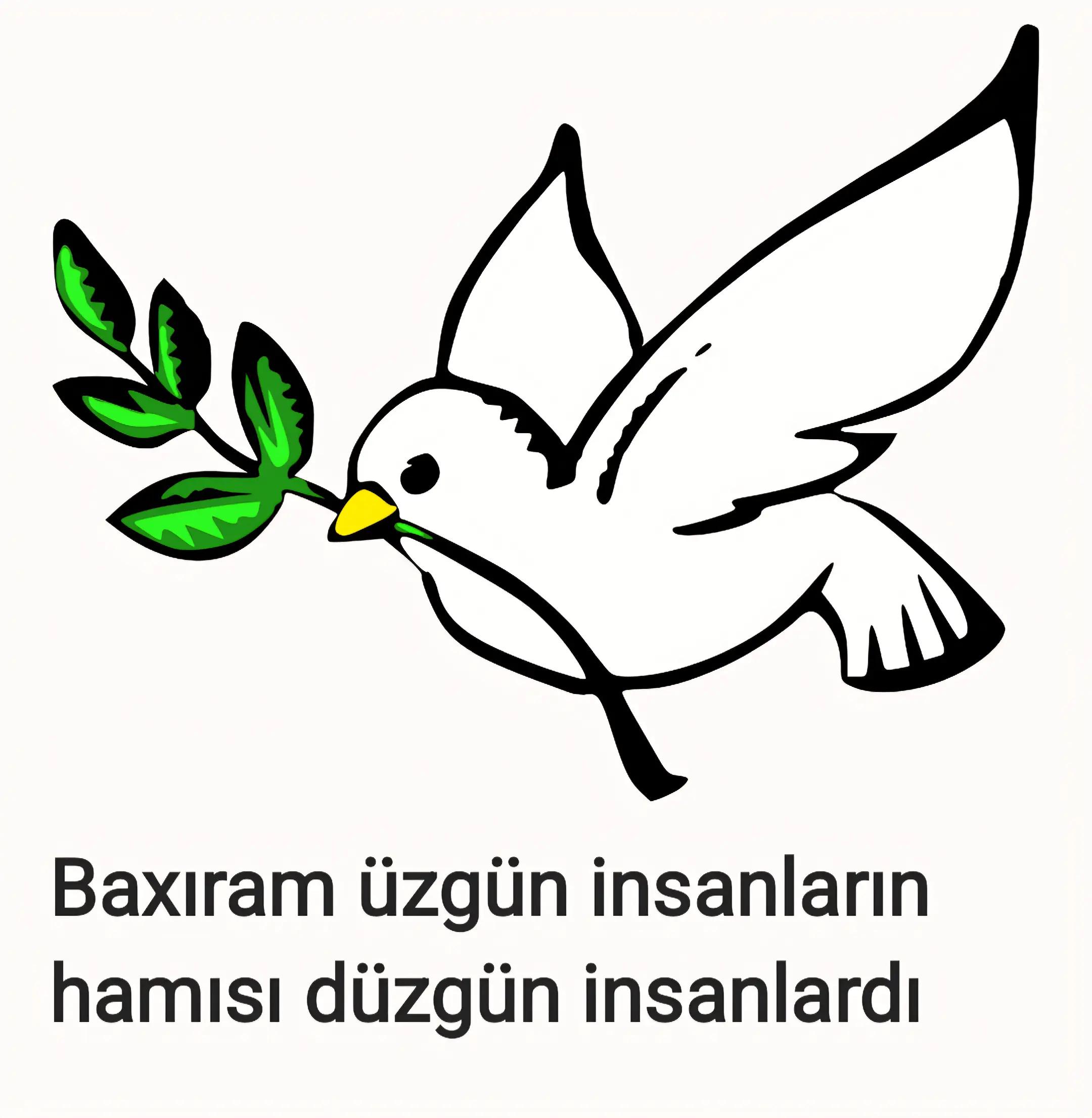 @Müdrik Kəlamlar