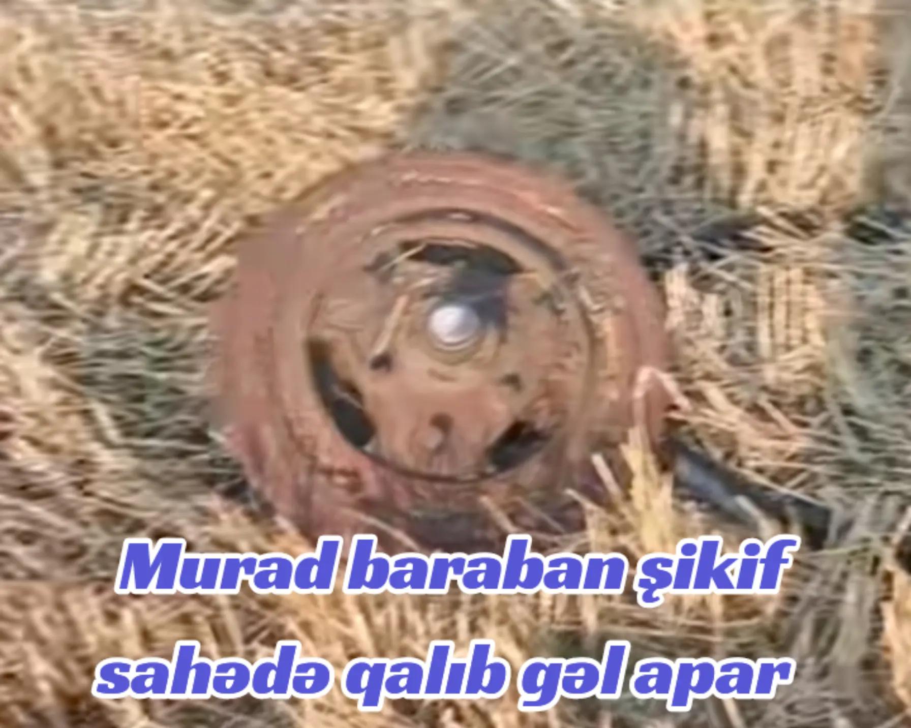 @Traktor_Aləmi