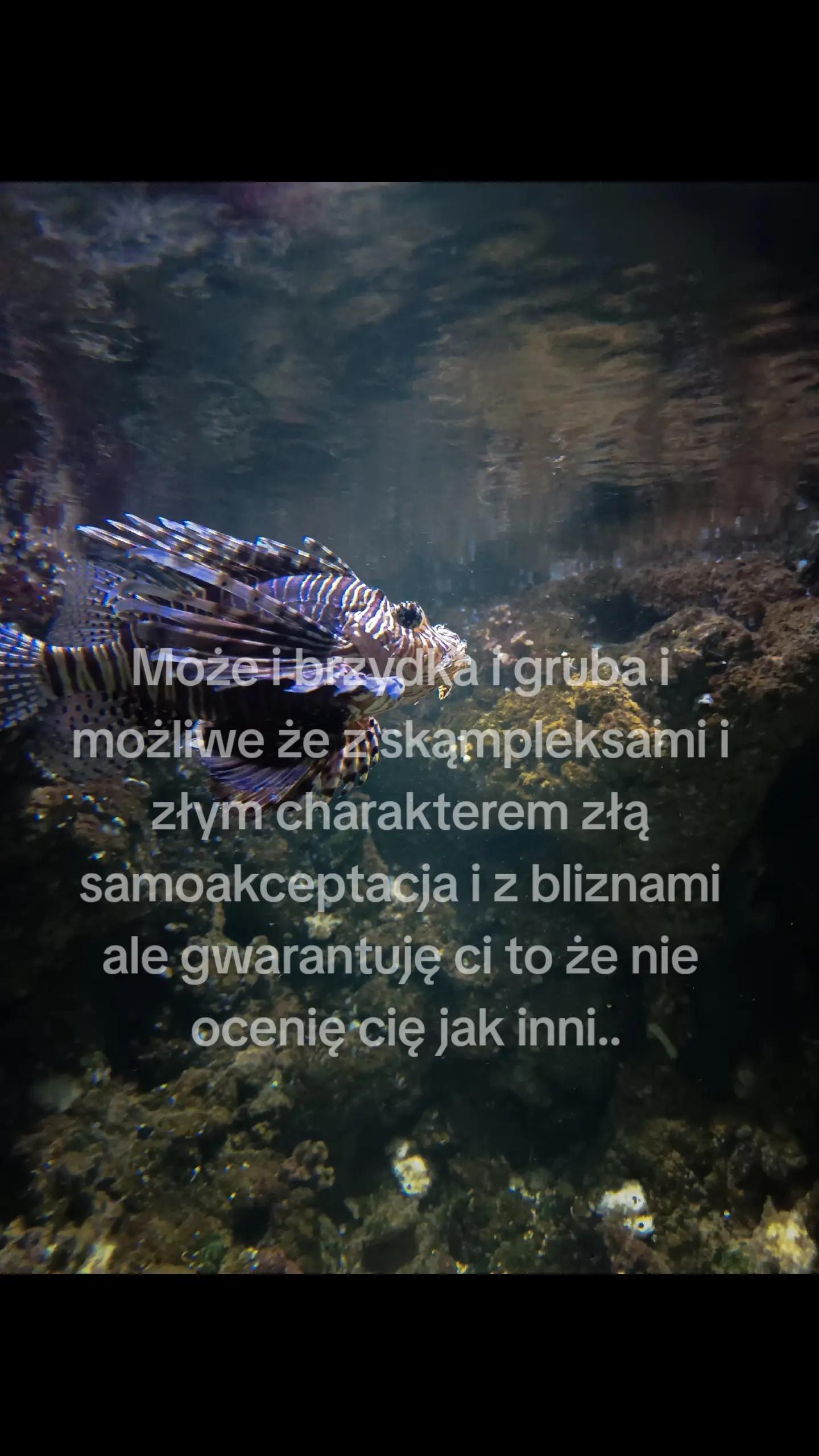 @🎰