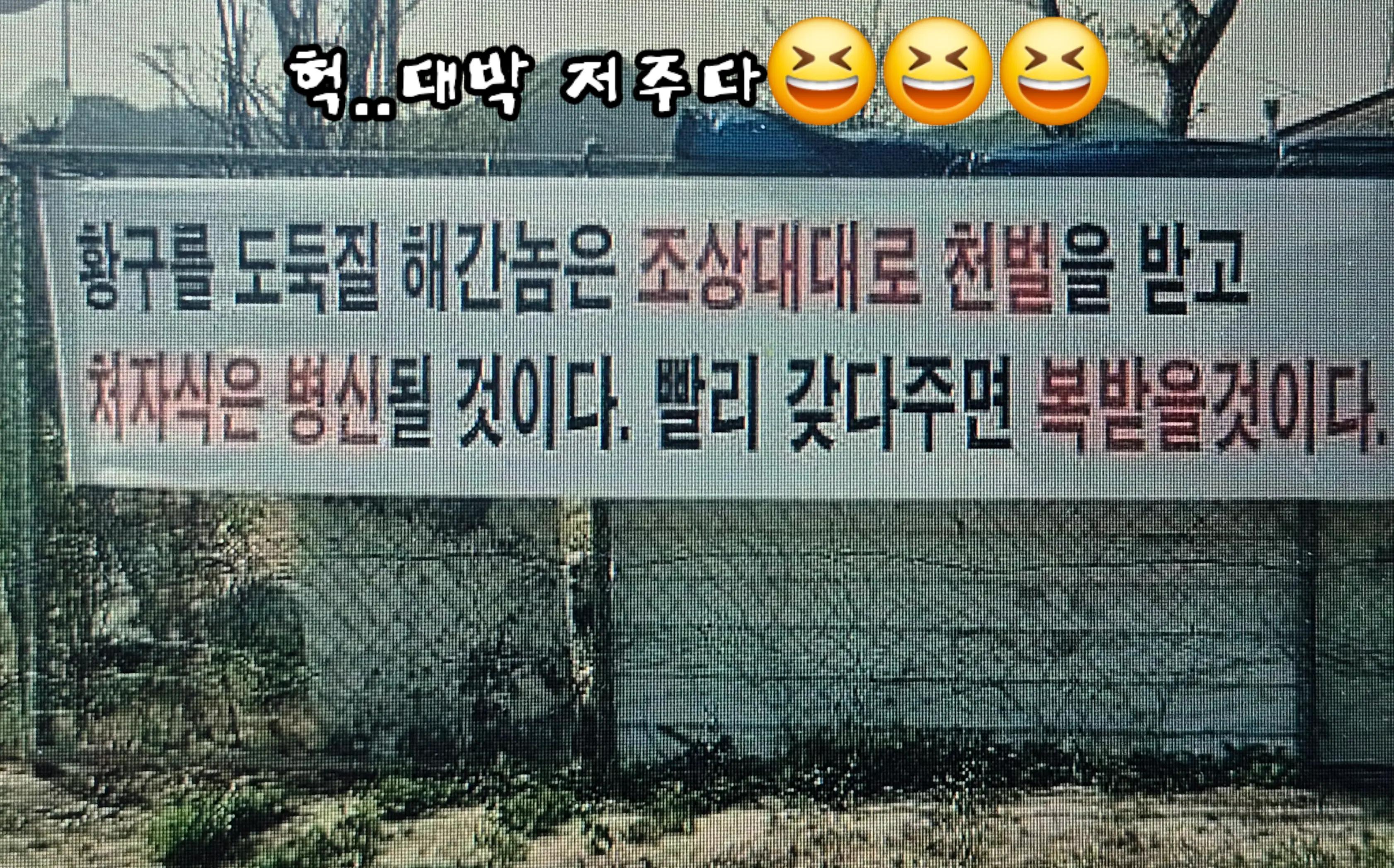 @청성인