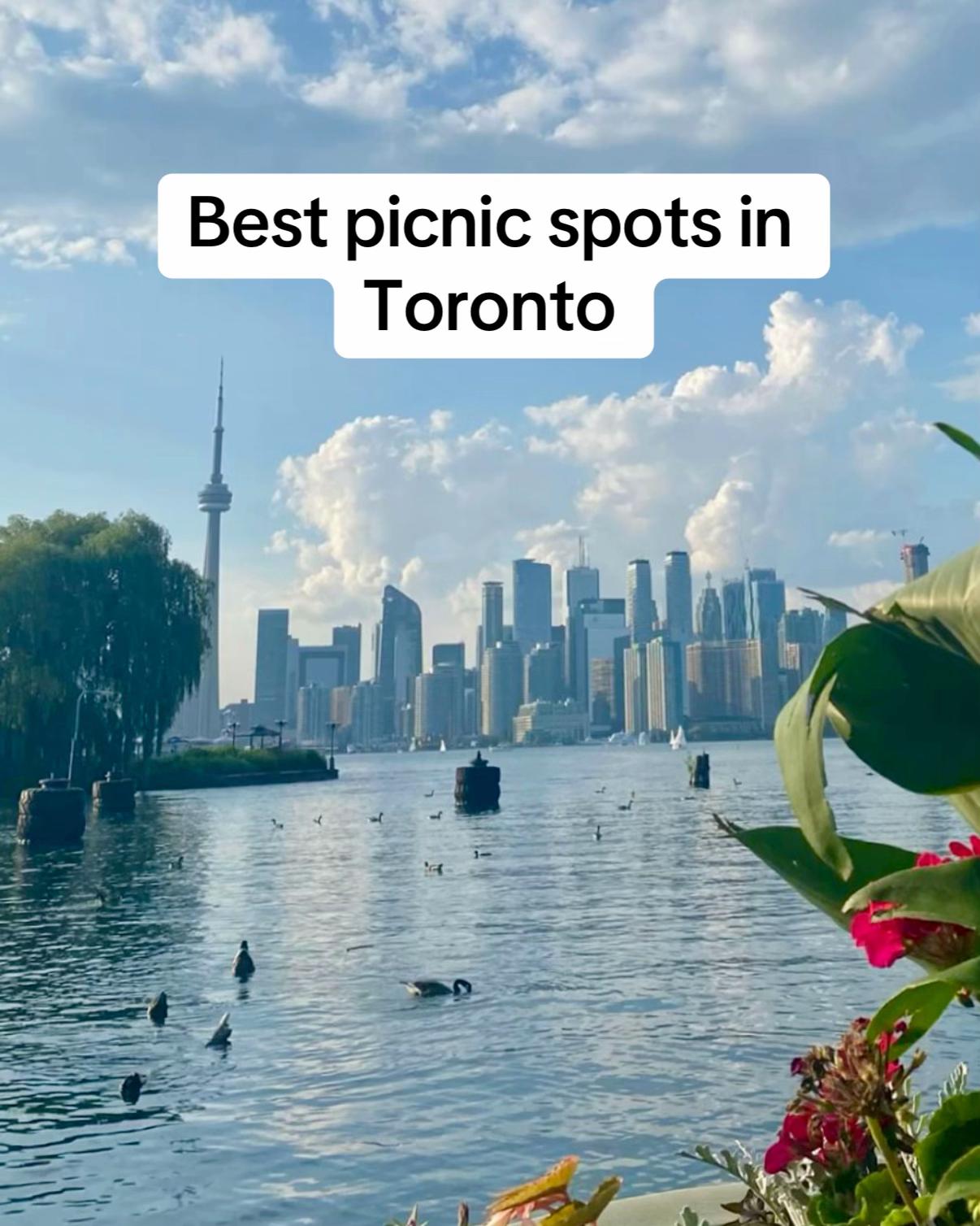 @Free In Toronto