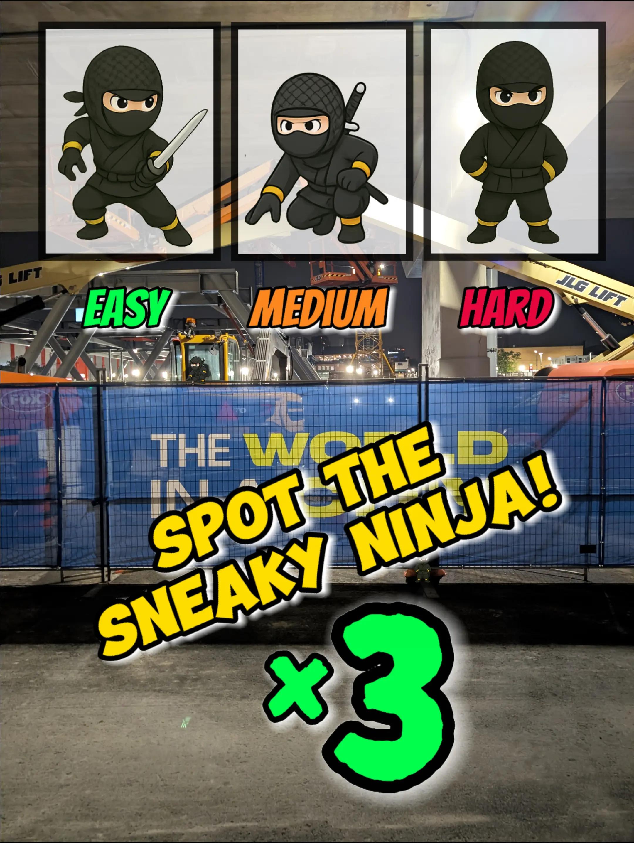 @SpotTheSneakyNinja