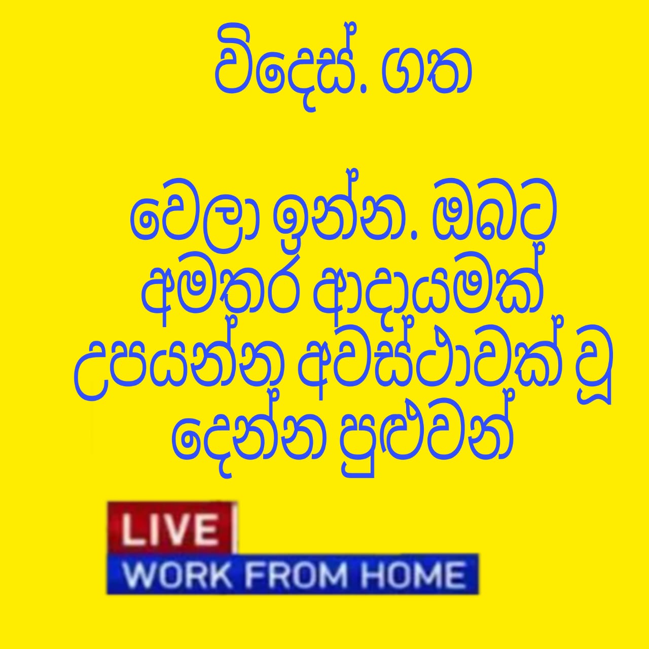 @Lakshima Sewwandi