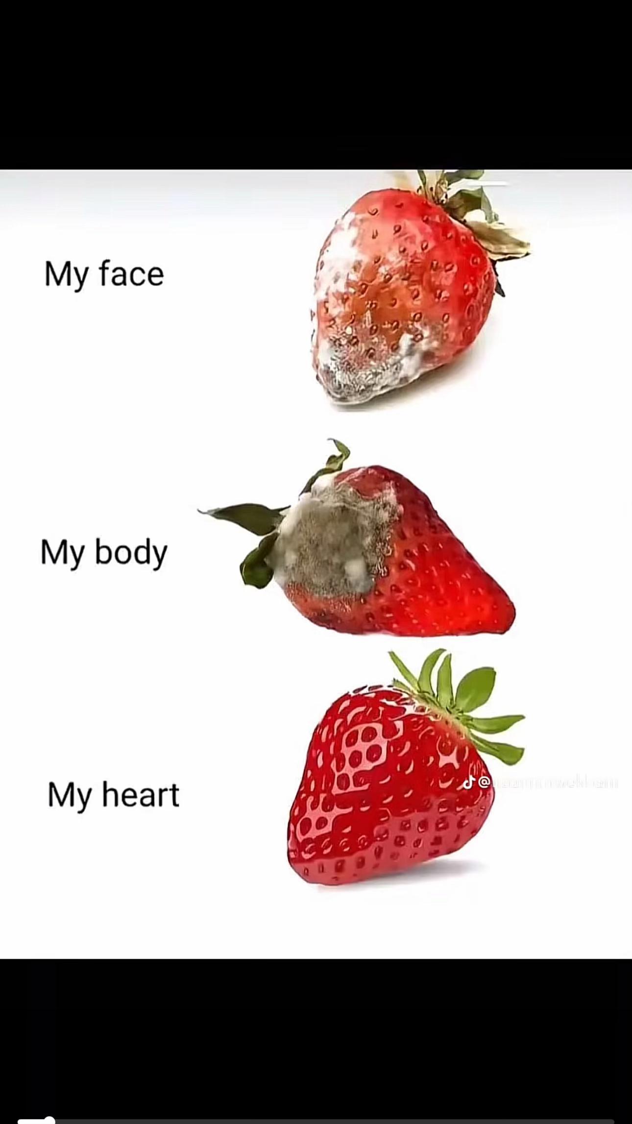 @Adyatmol