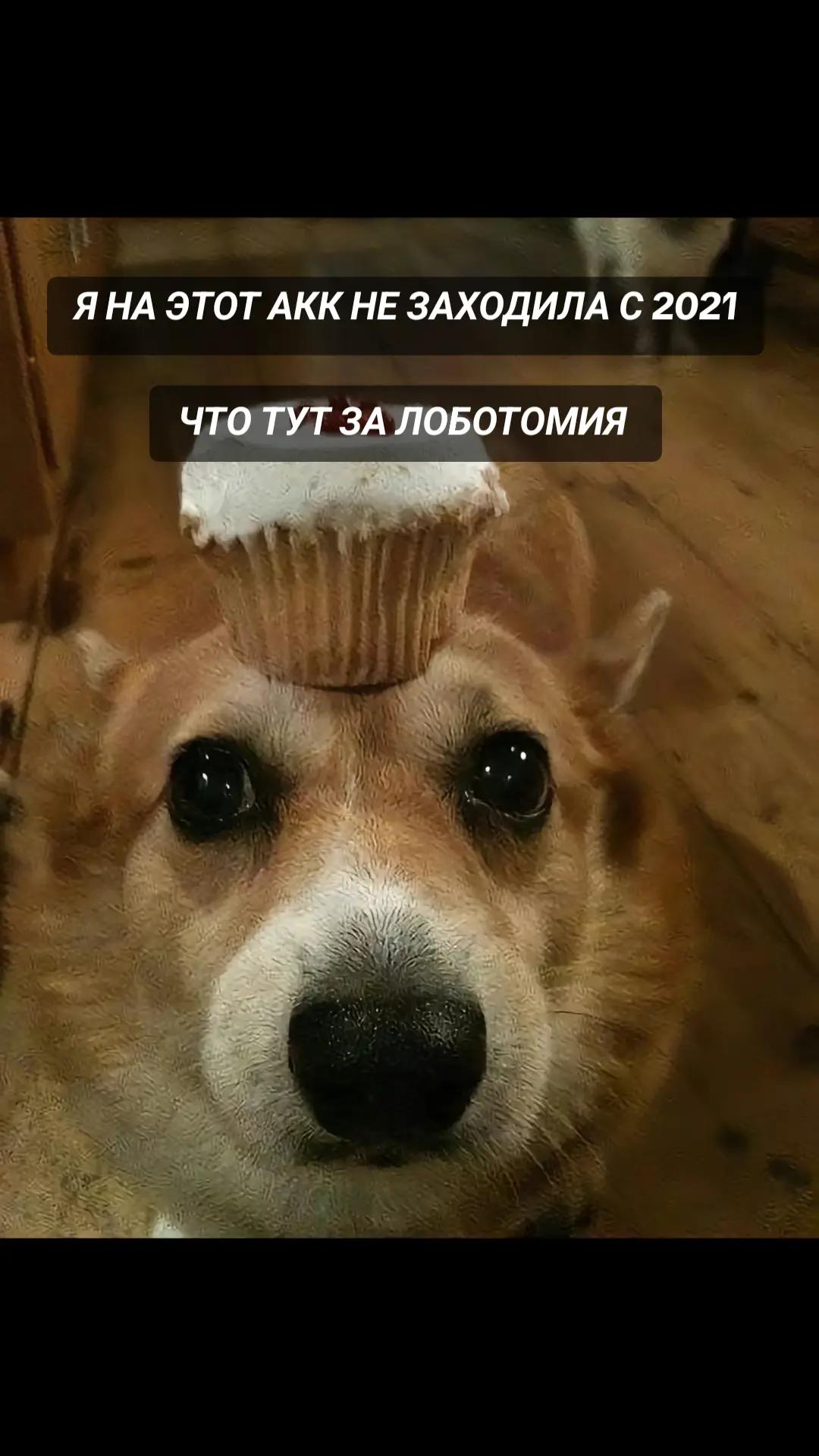 @DIIIOOOO
