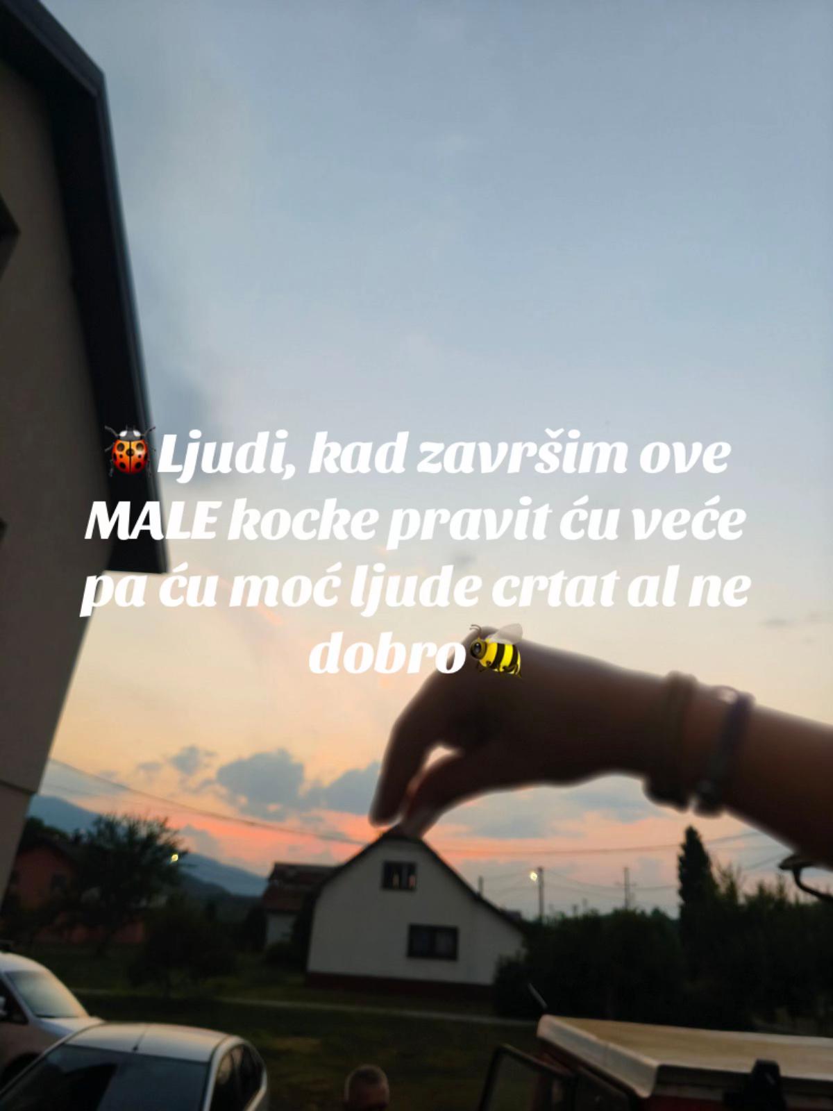 @🐚