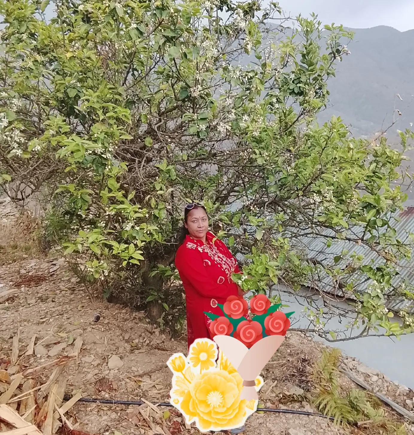 @Sita karki