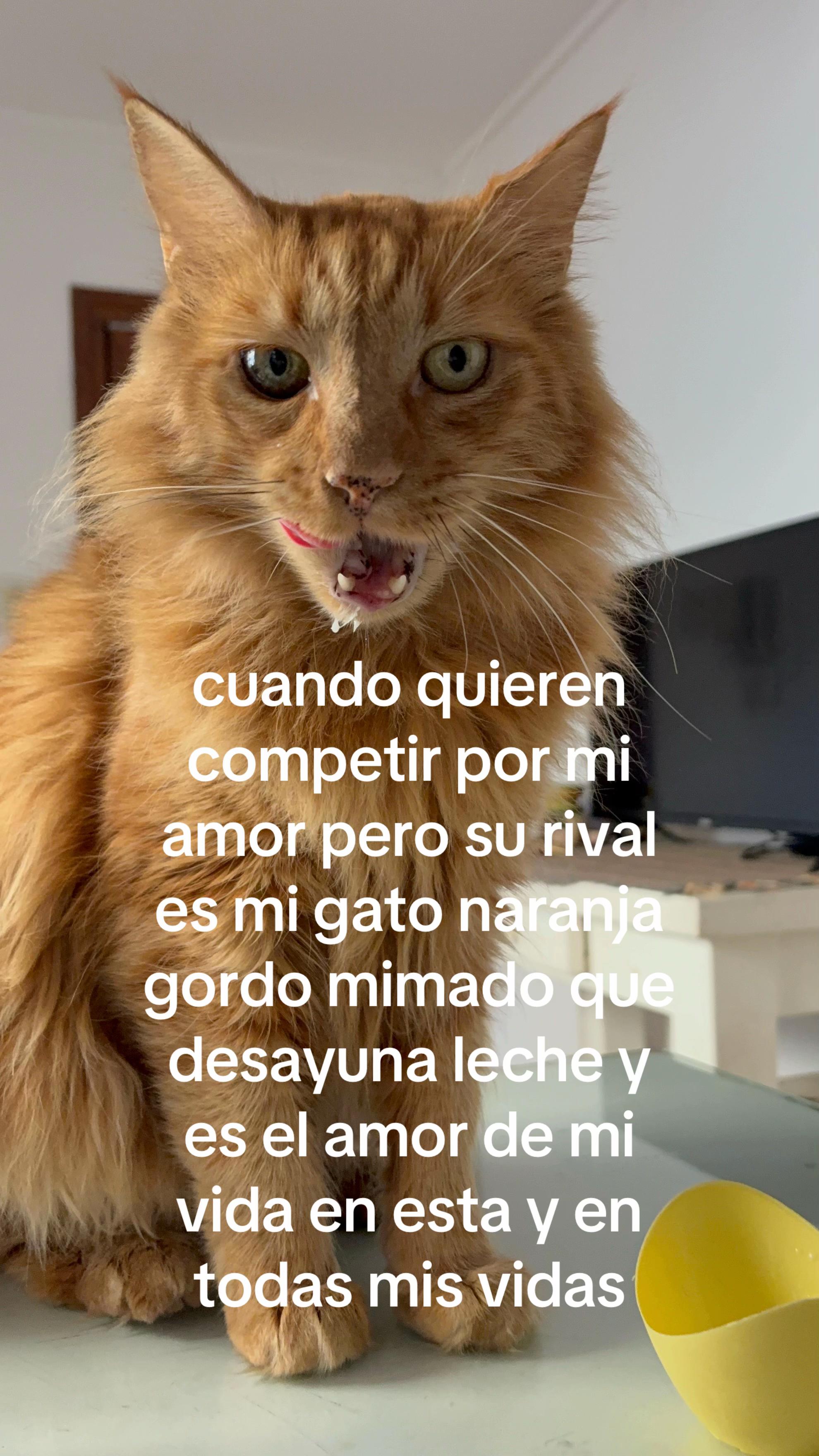 @julia