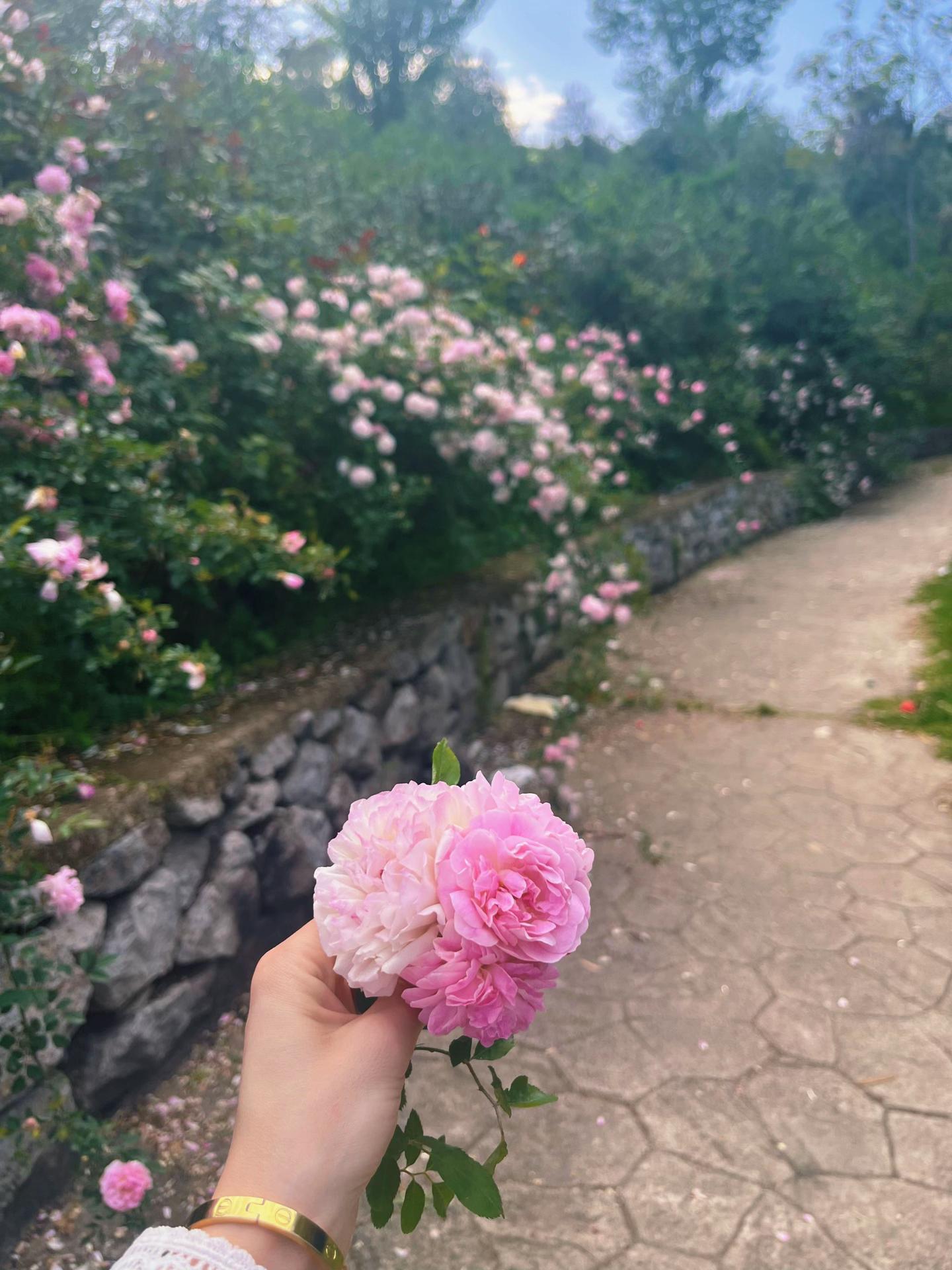 @أمنية ✨