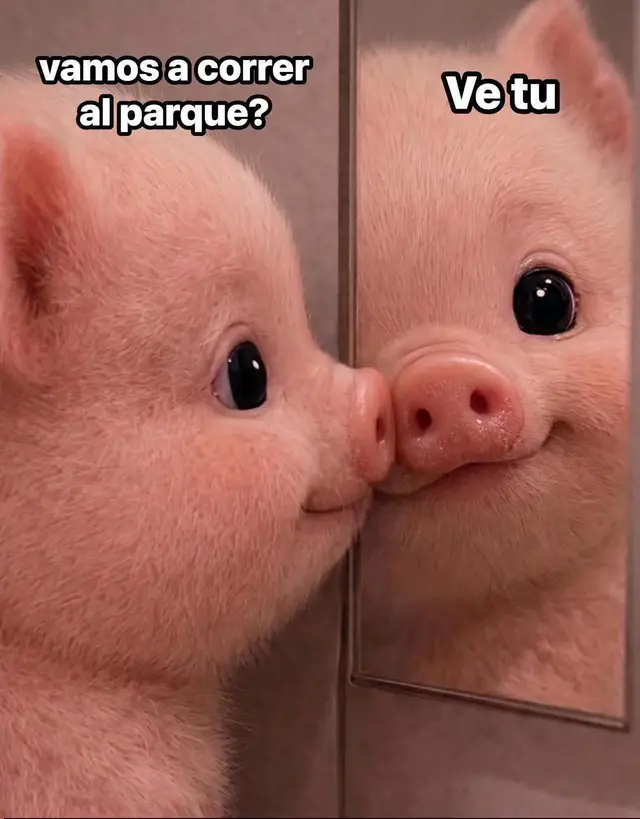 @SoyErikAlan