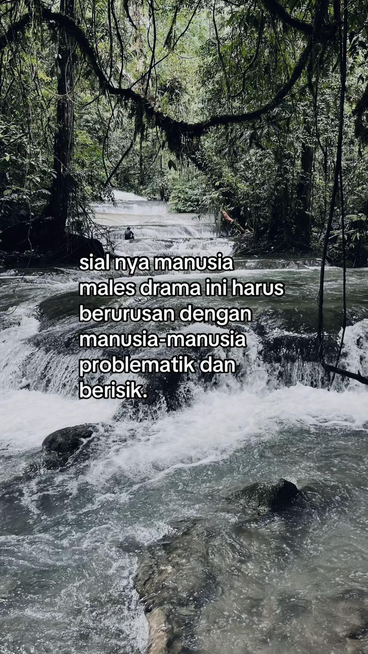 @saya.