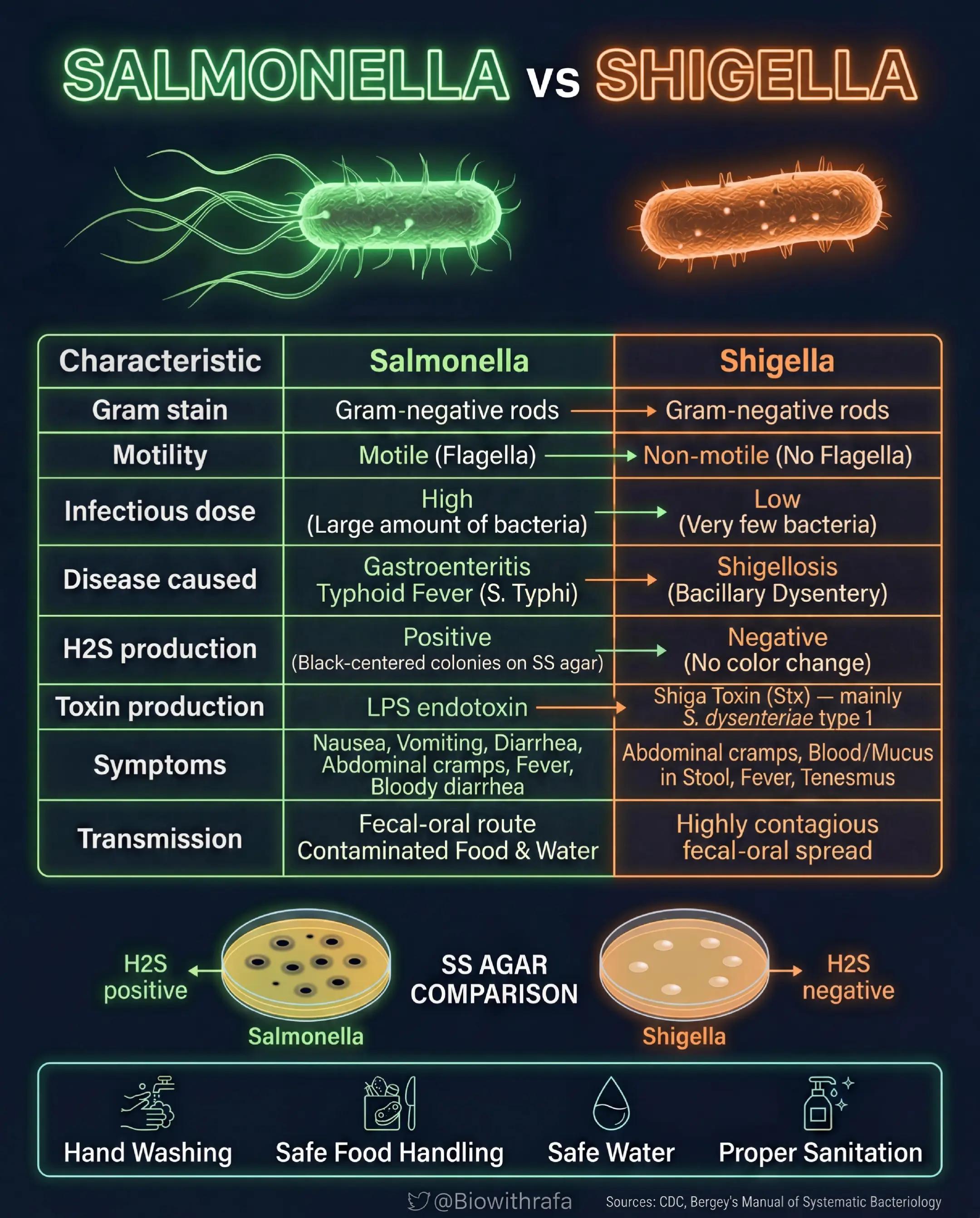 @📚🔬Biowithrafa 🧬🧫