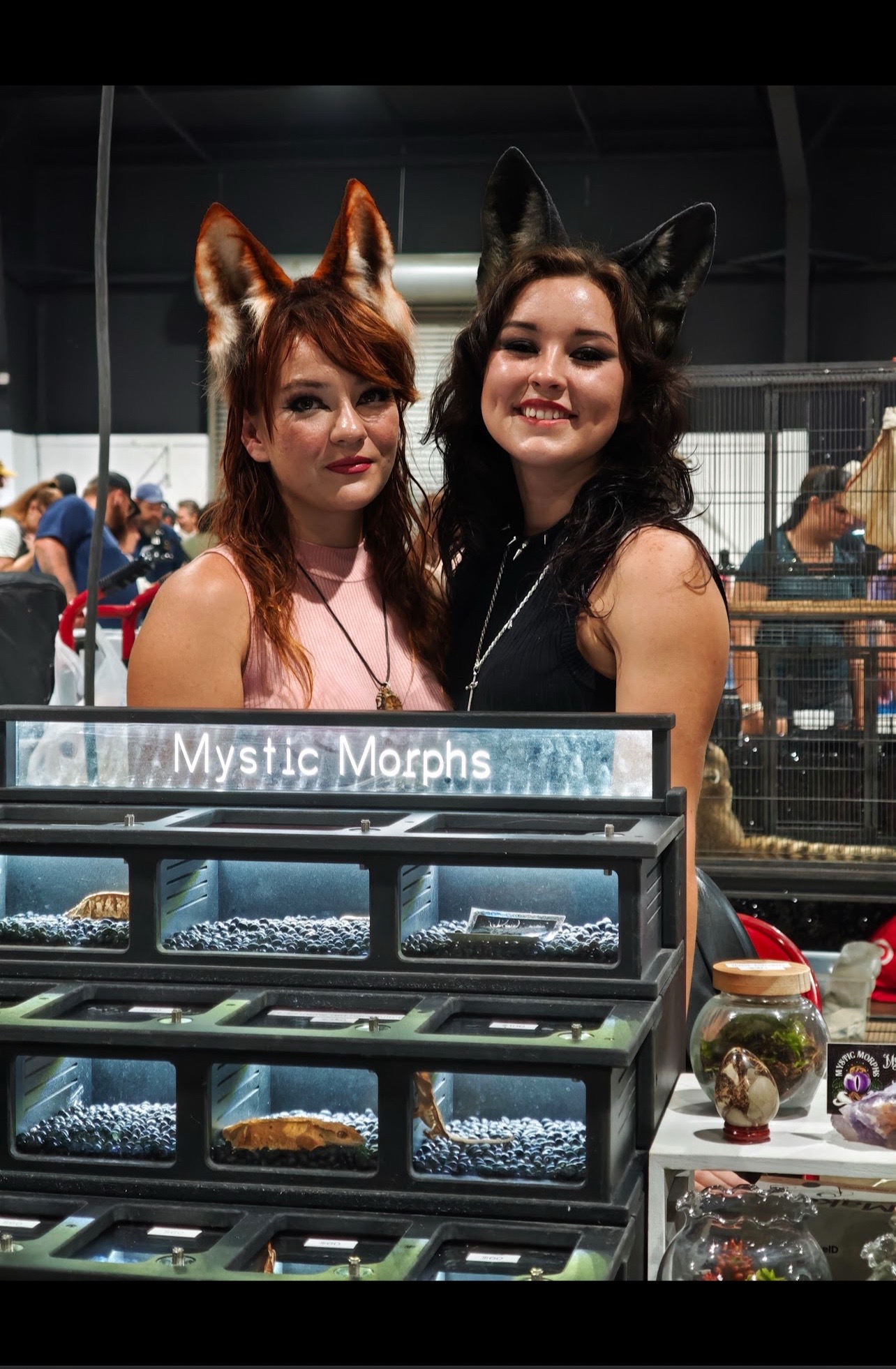 @Mystic.Morphs