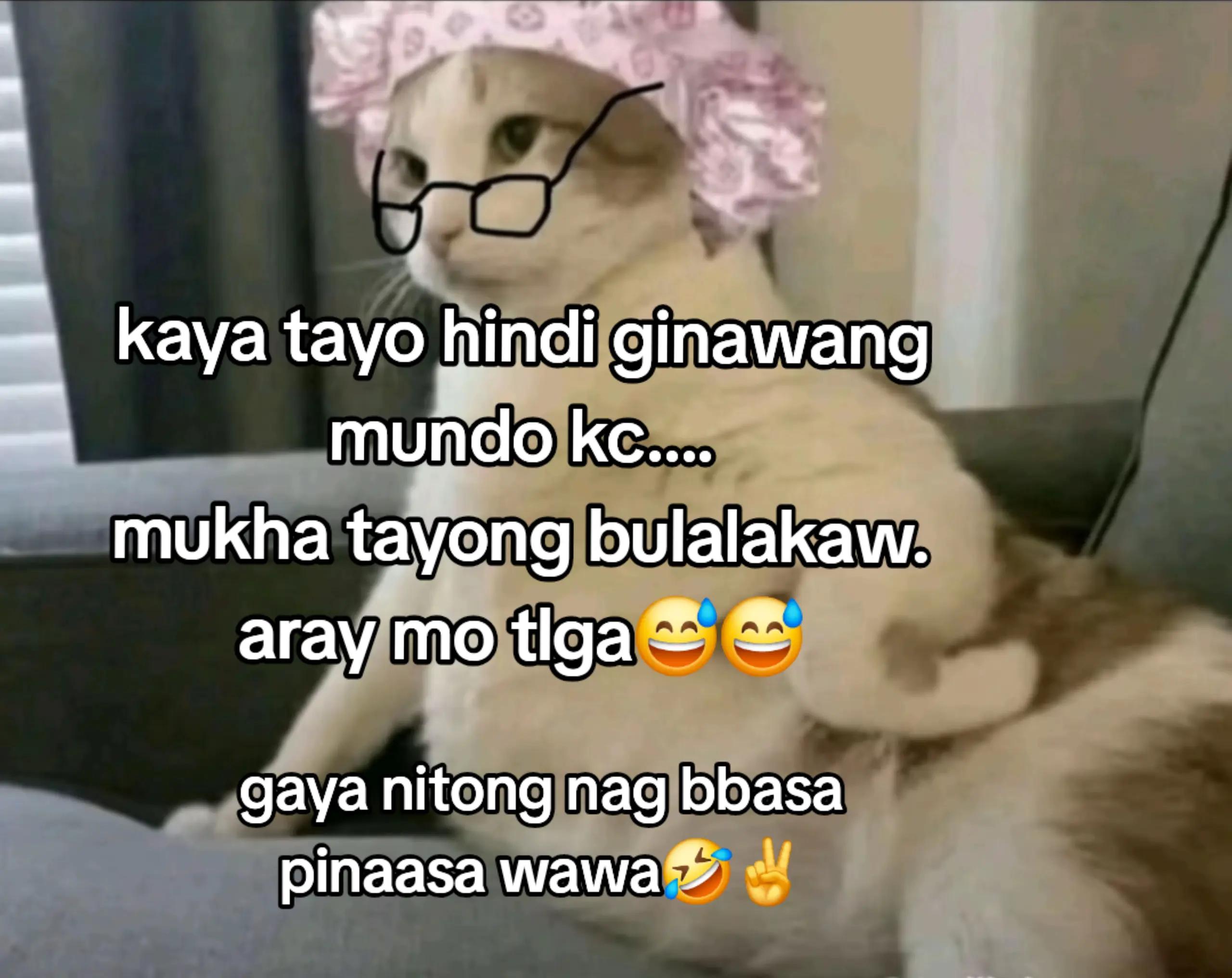 @ms_hit@shi🇵🇭
