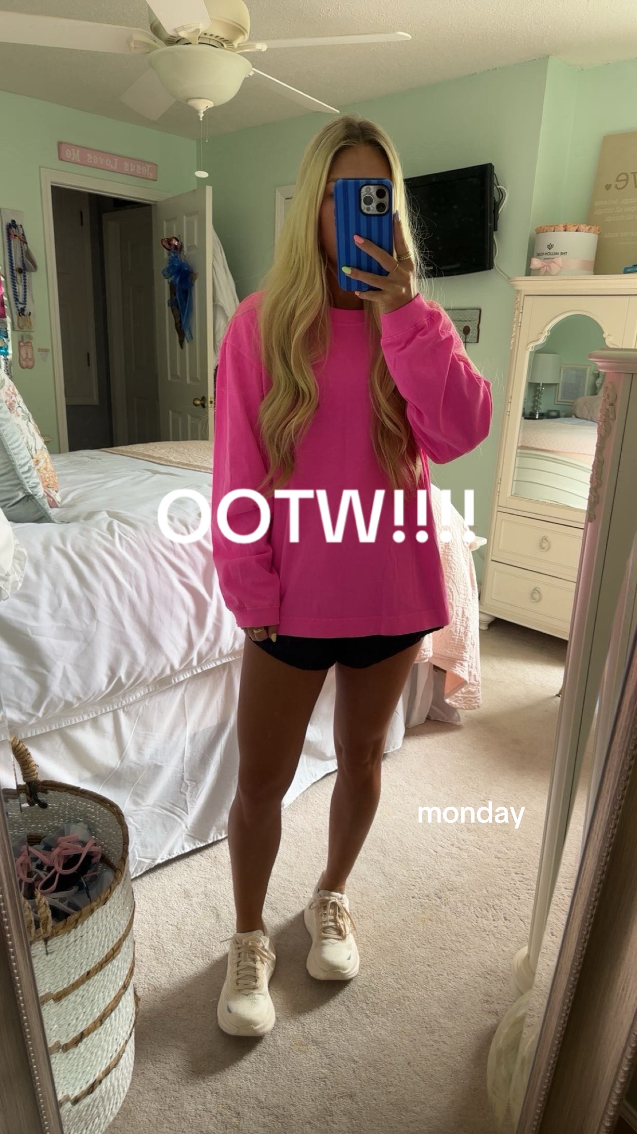 @carlee case