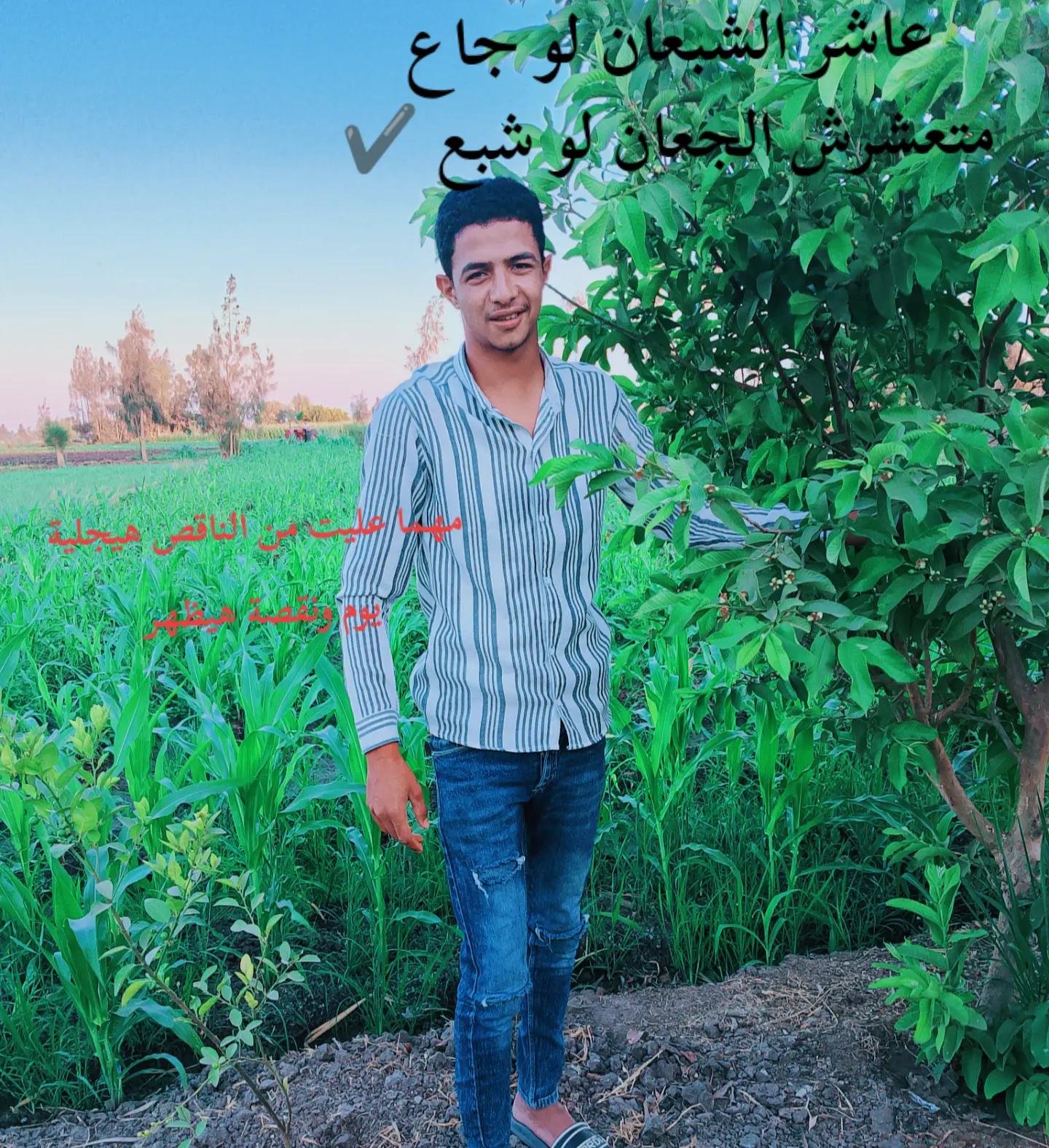 @Attia Salah