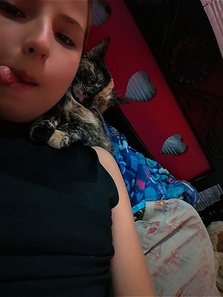 @𝒮💮★~(◡﹏◕✿)