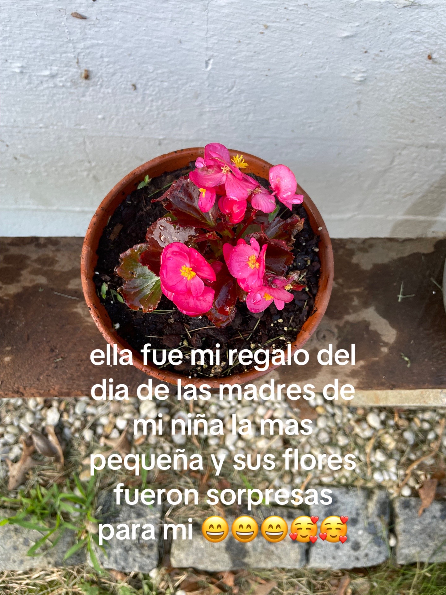 @🍒🇸🇻Chaparrita🇸🇻🍒