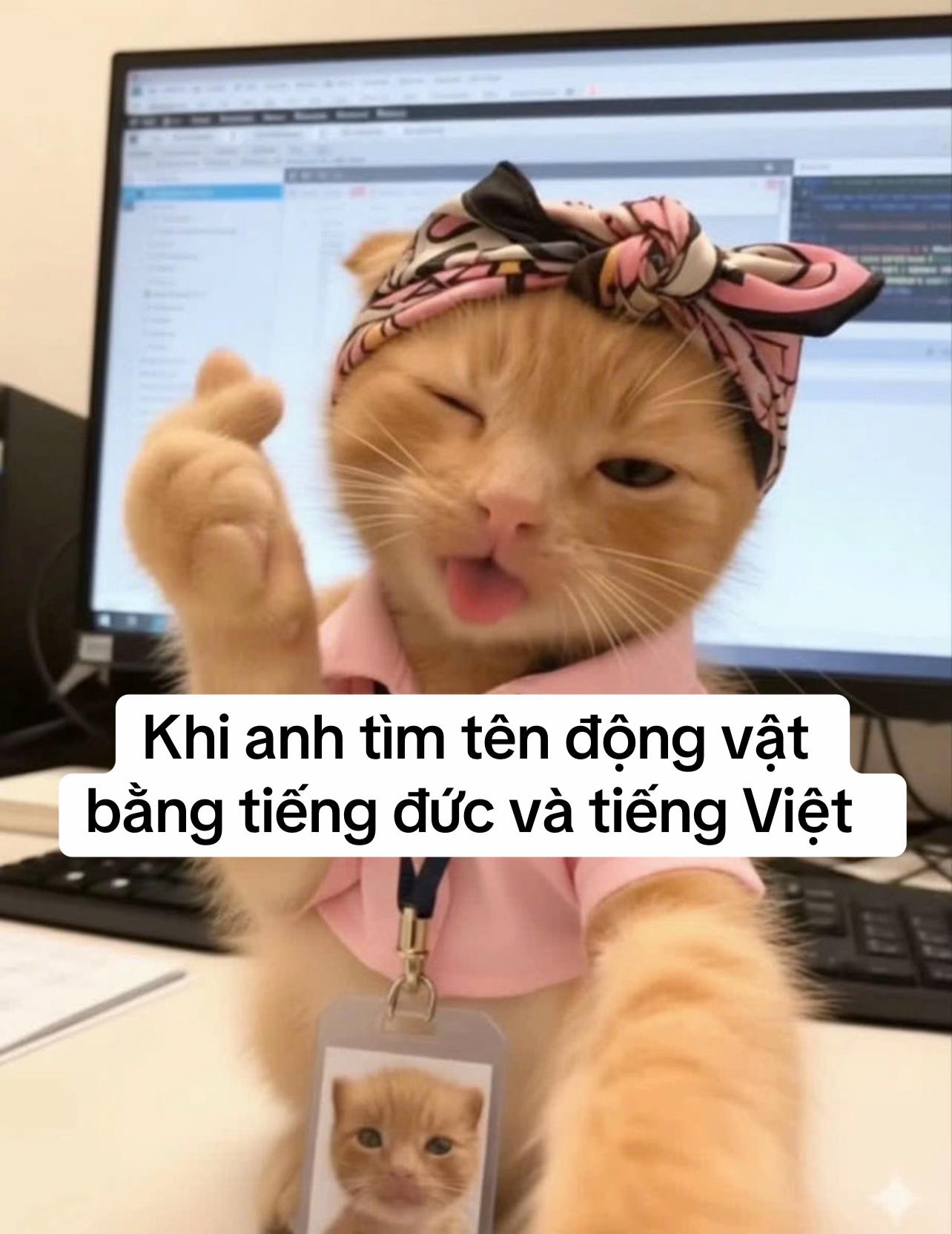 @30 ngày nghe tiếng Đức