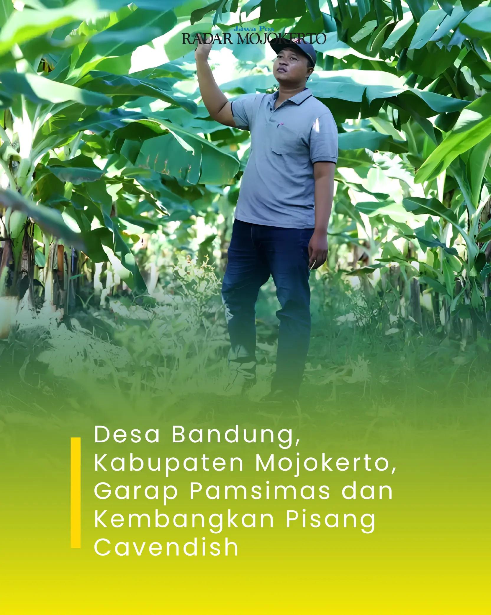 @radar mojokerto