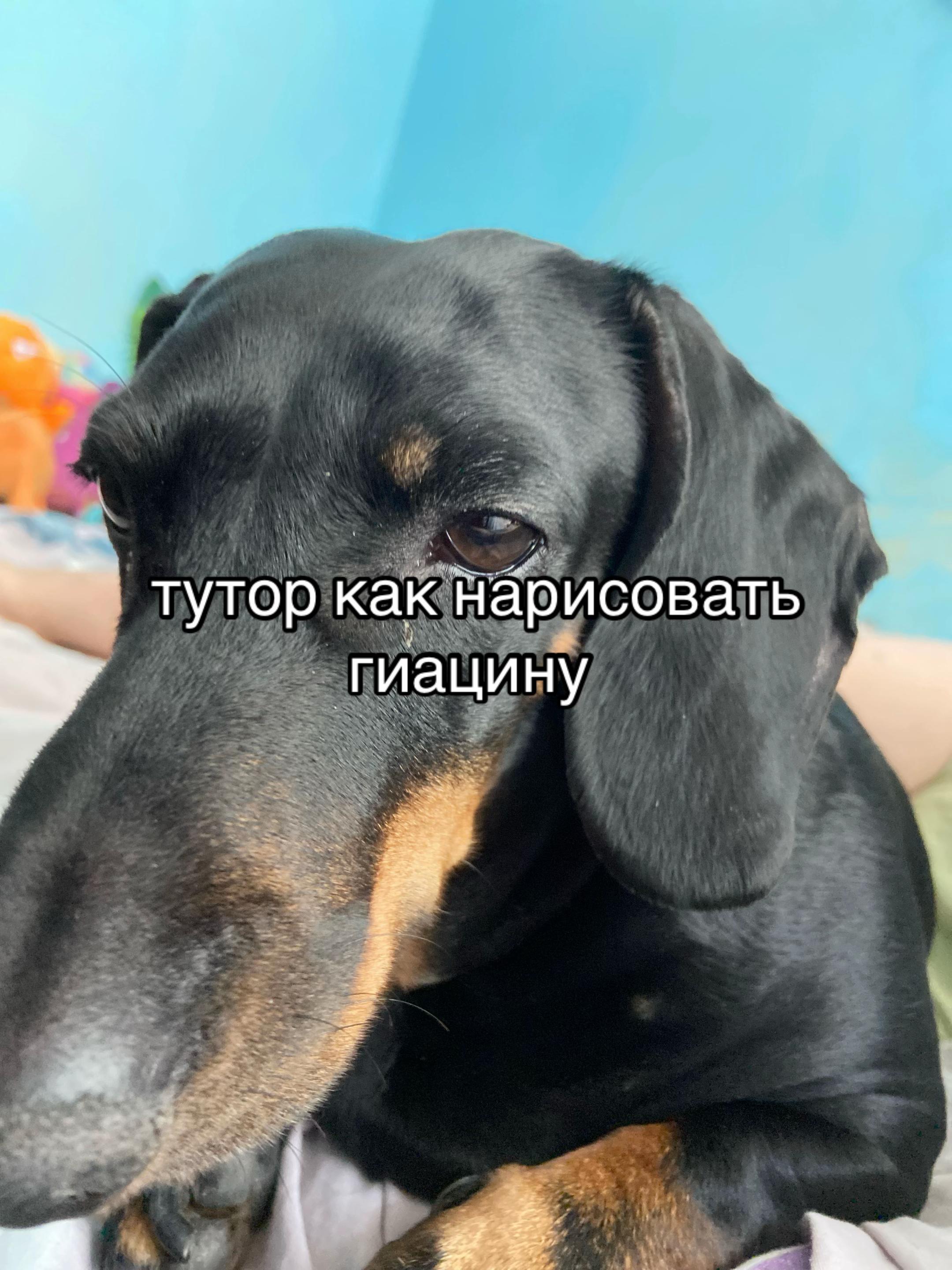 @Щепка
