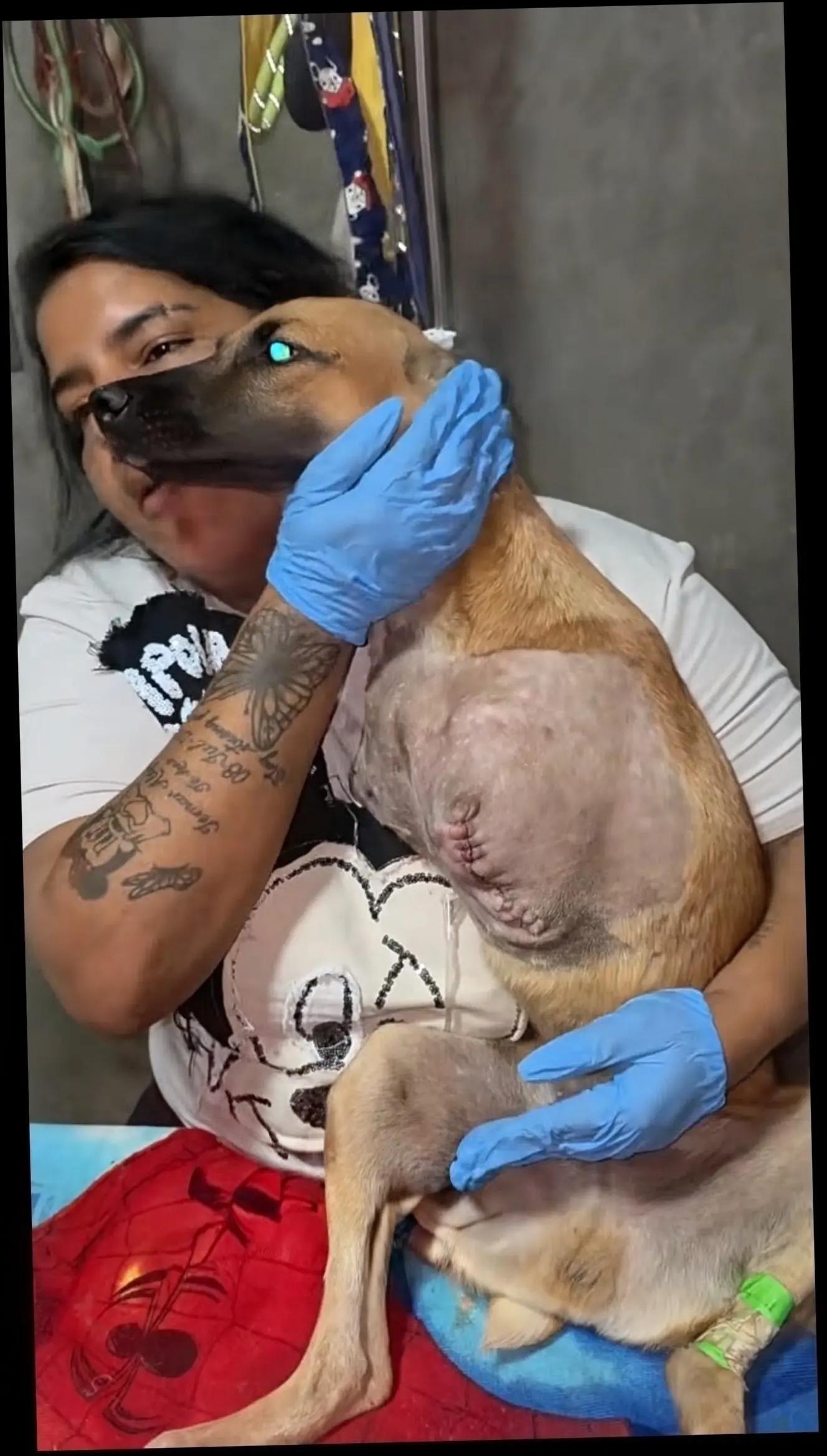 @Rómulo cuellar