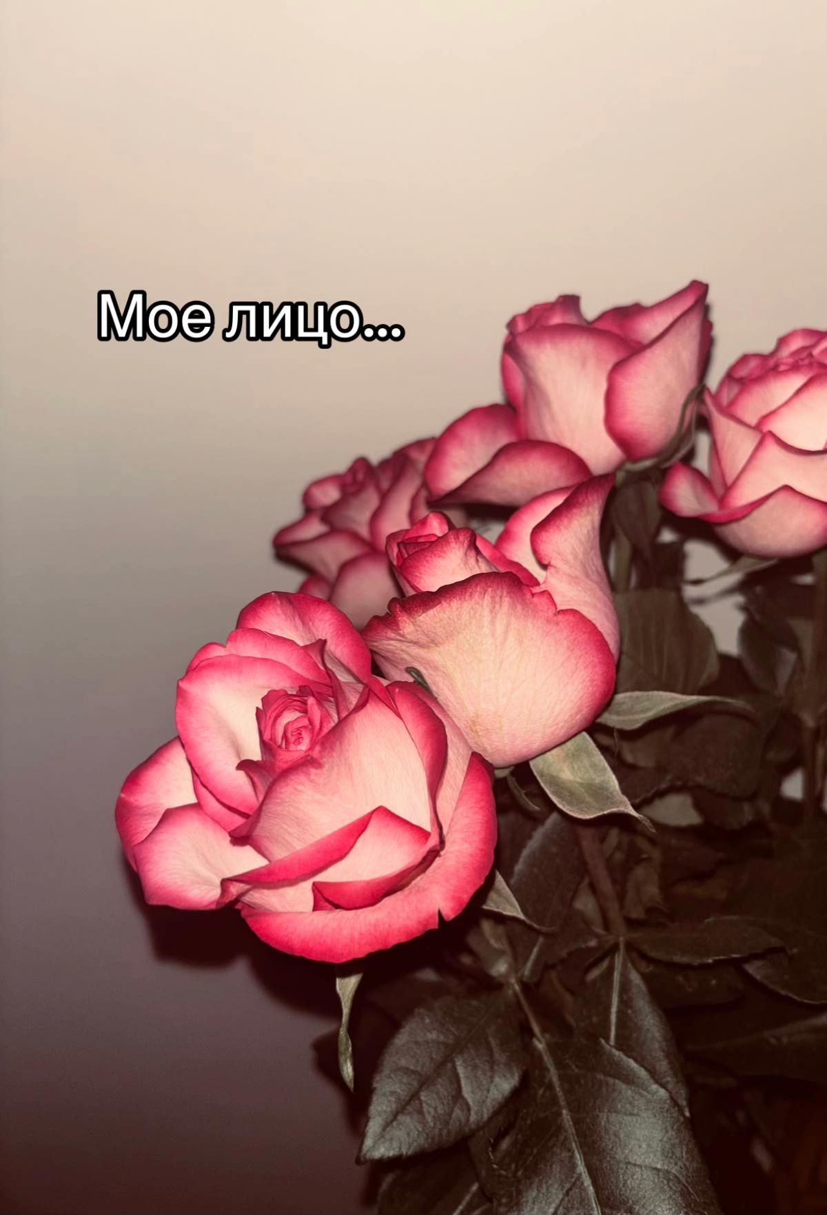 @🖤🖤🖤