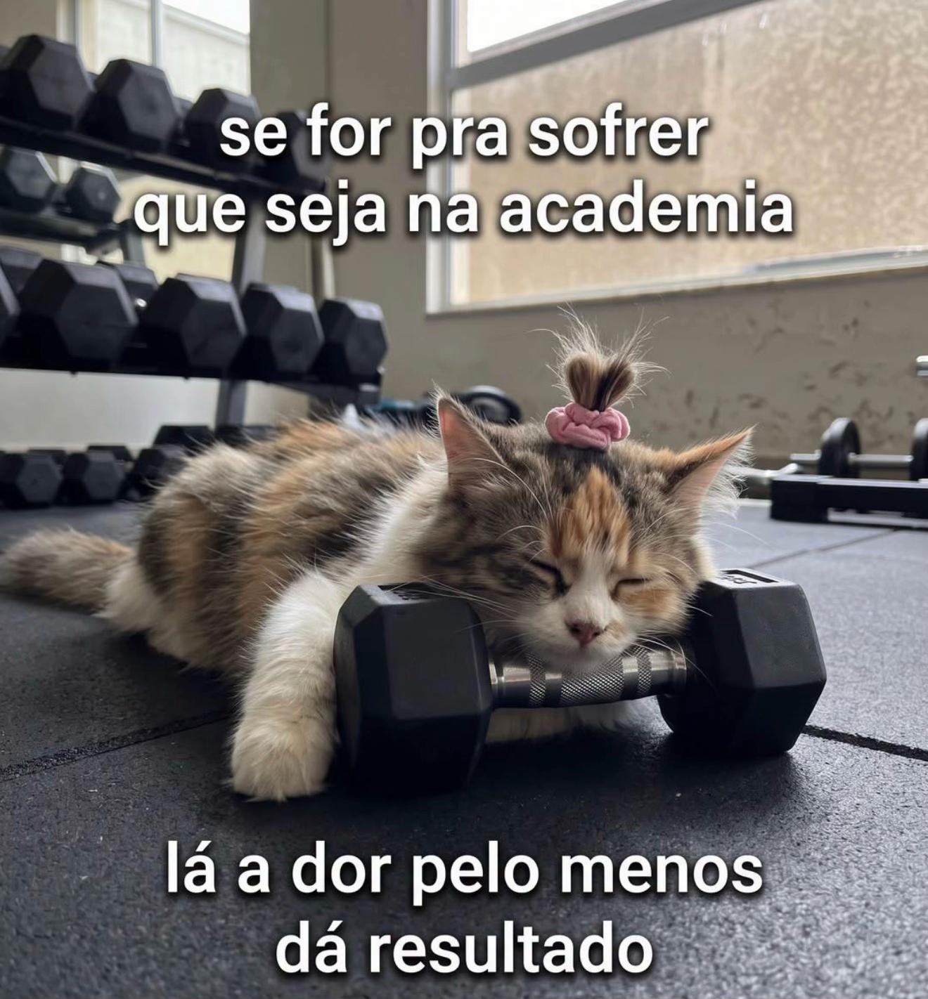 @Nill Sóliver