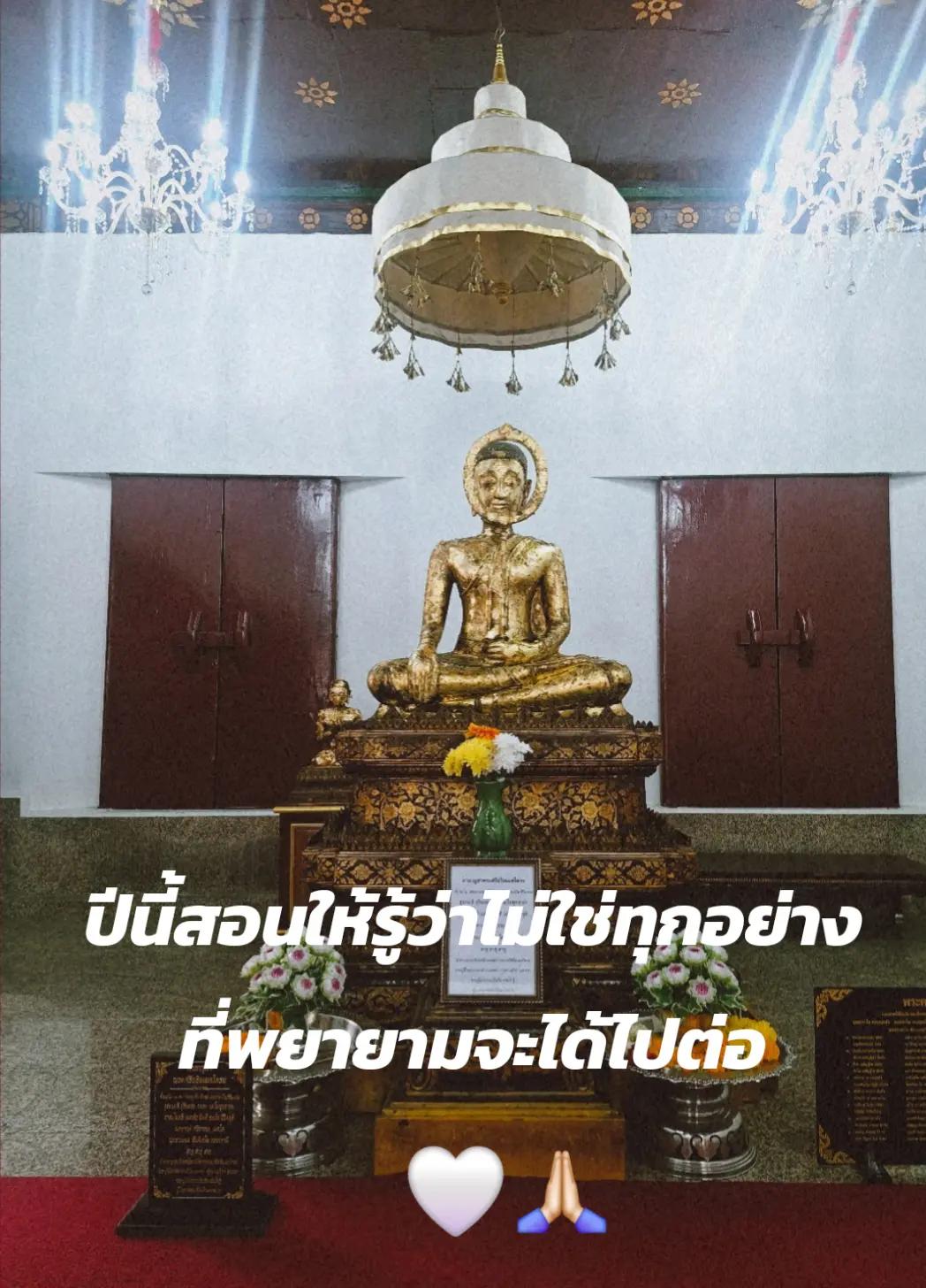 @ที&rsquo;เชอะมอสคอต