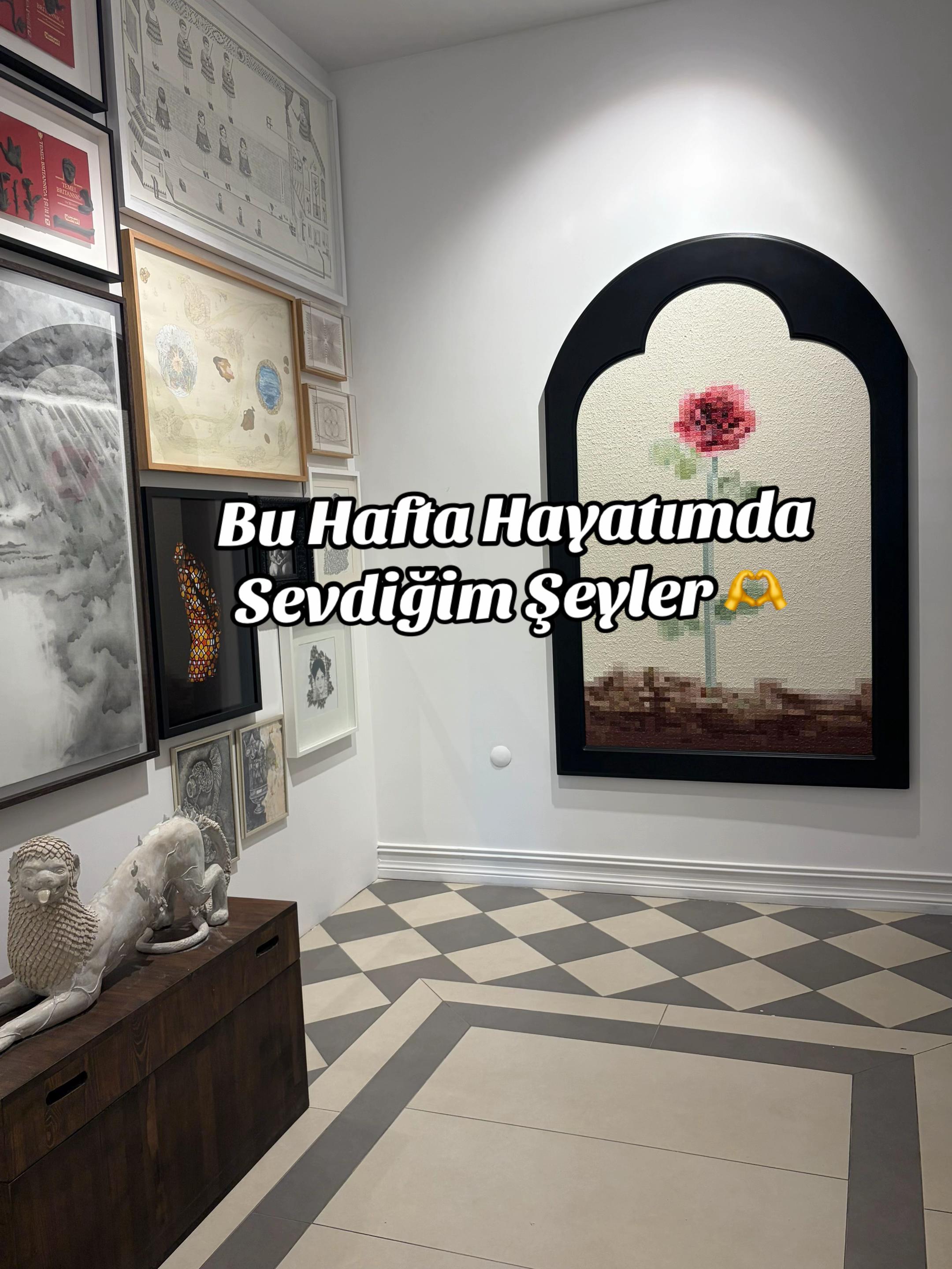 @İstanbul Kedisi