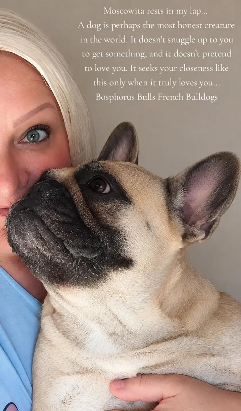 @Bosphorus Bulls French Bulldog
