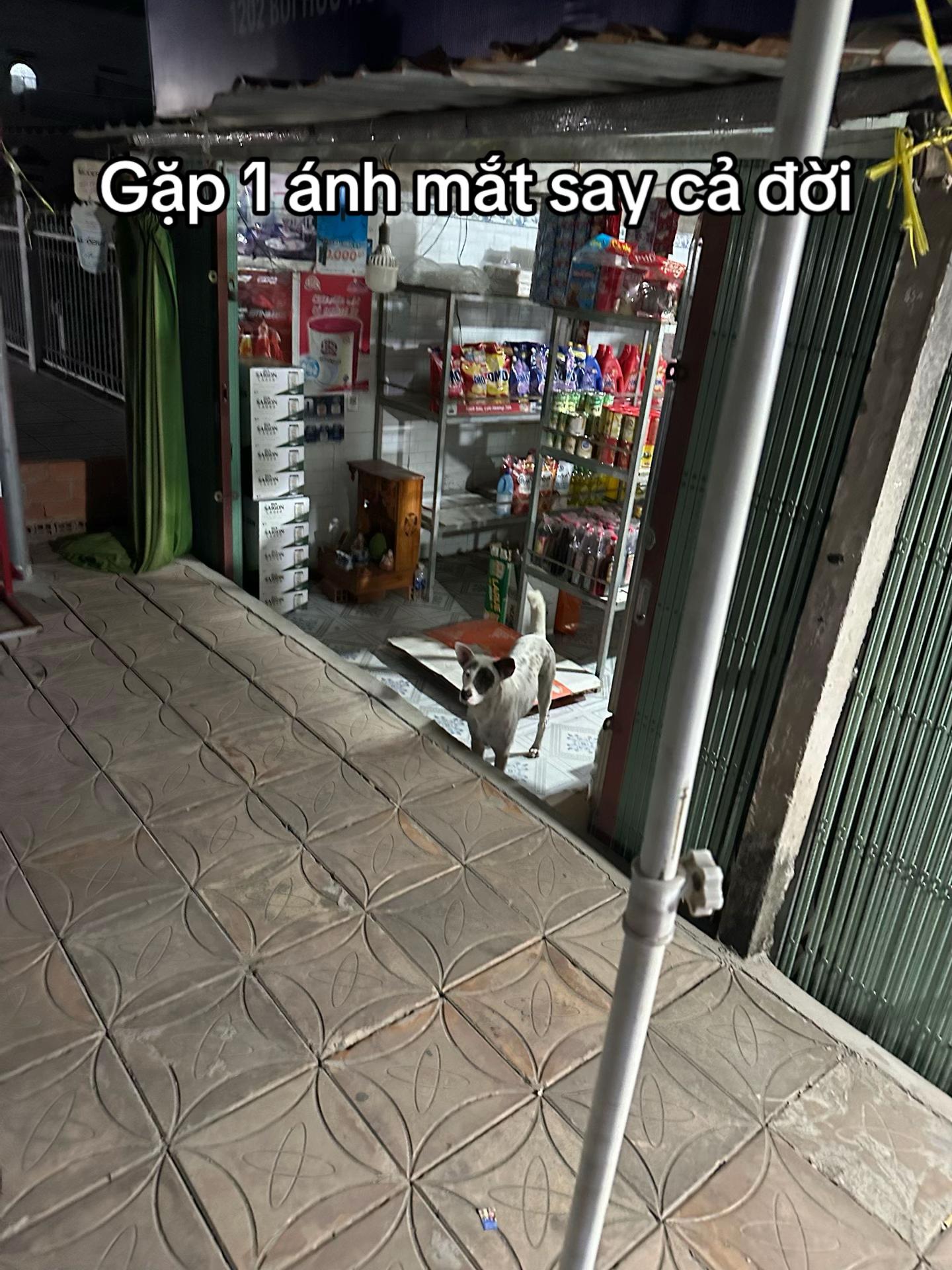 @Dua hấu 🍉