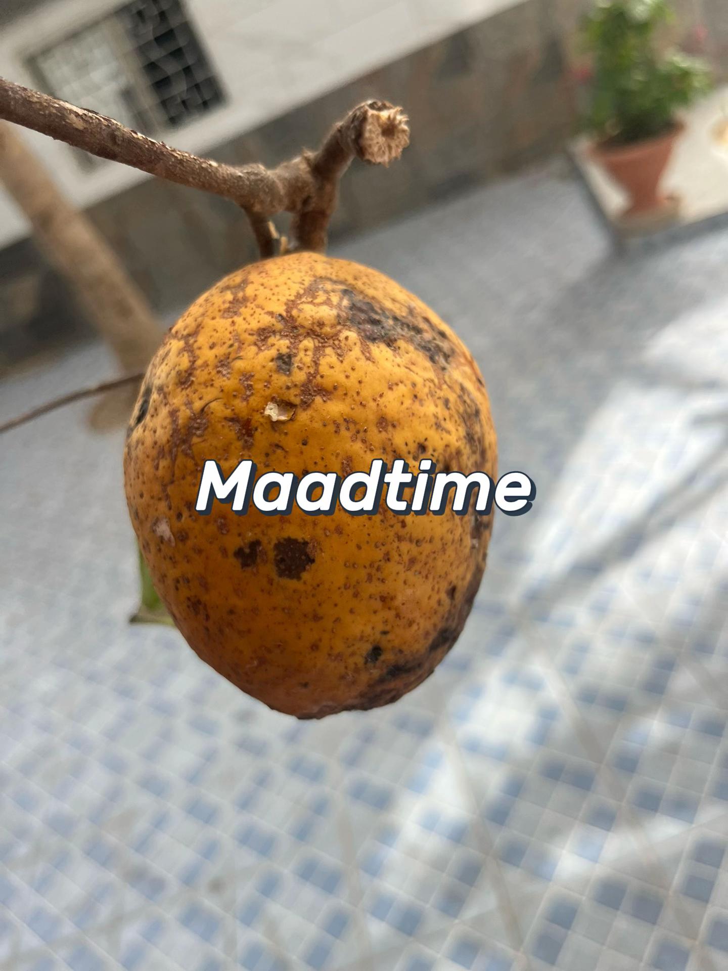 @MAADTIME😋😋😋