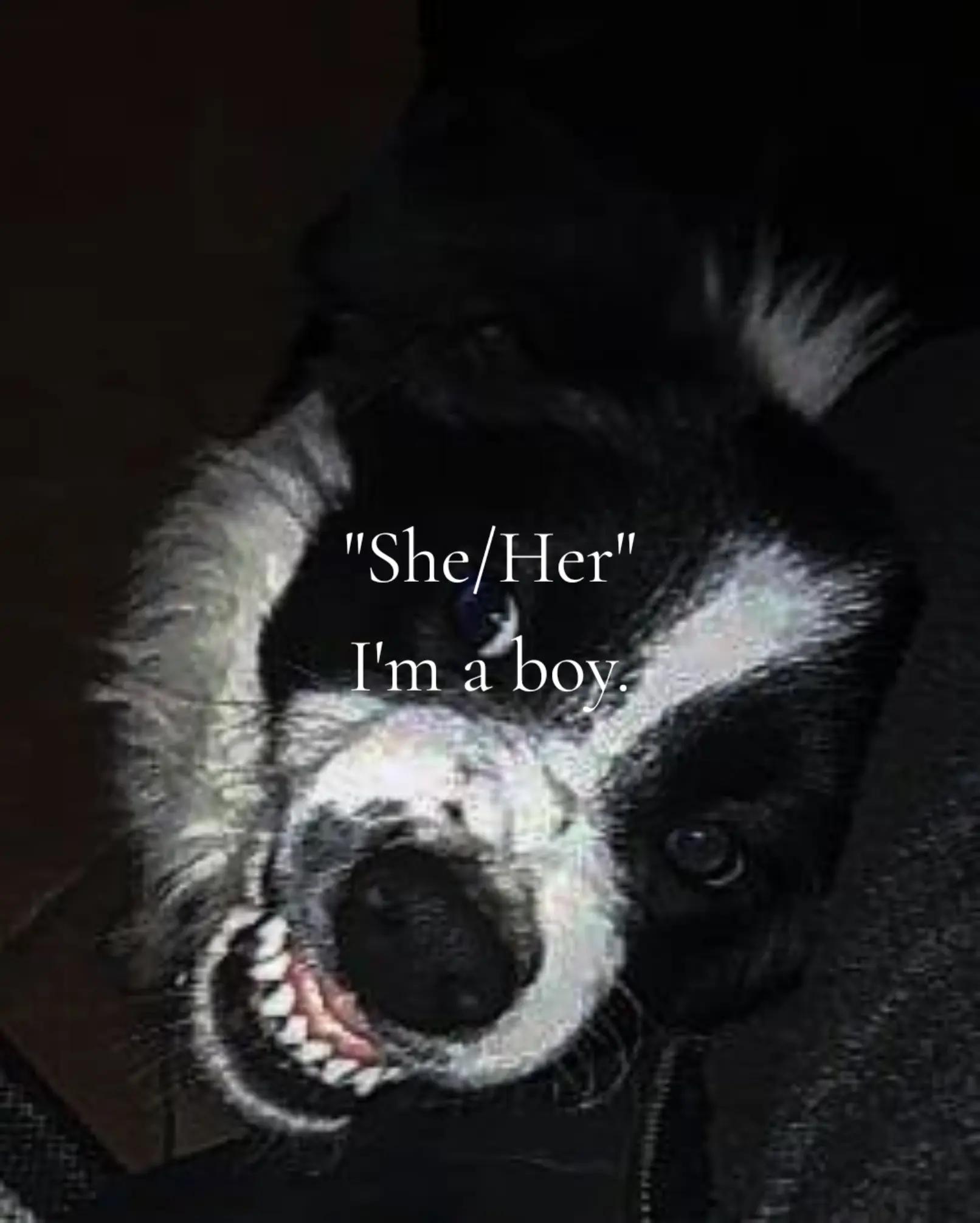 @⊻ðŸð³ïžâ§ïžðŠGhostðŠð³ïžâ§ïžðŸâŠ»
