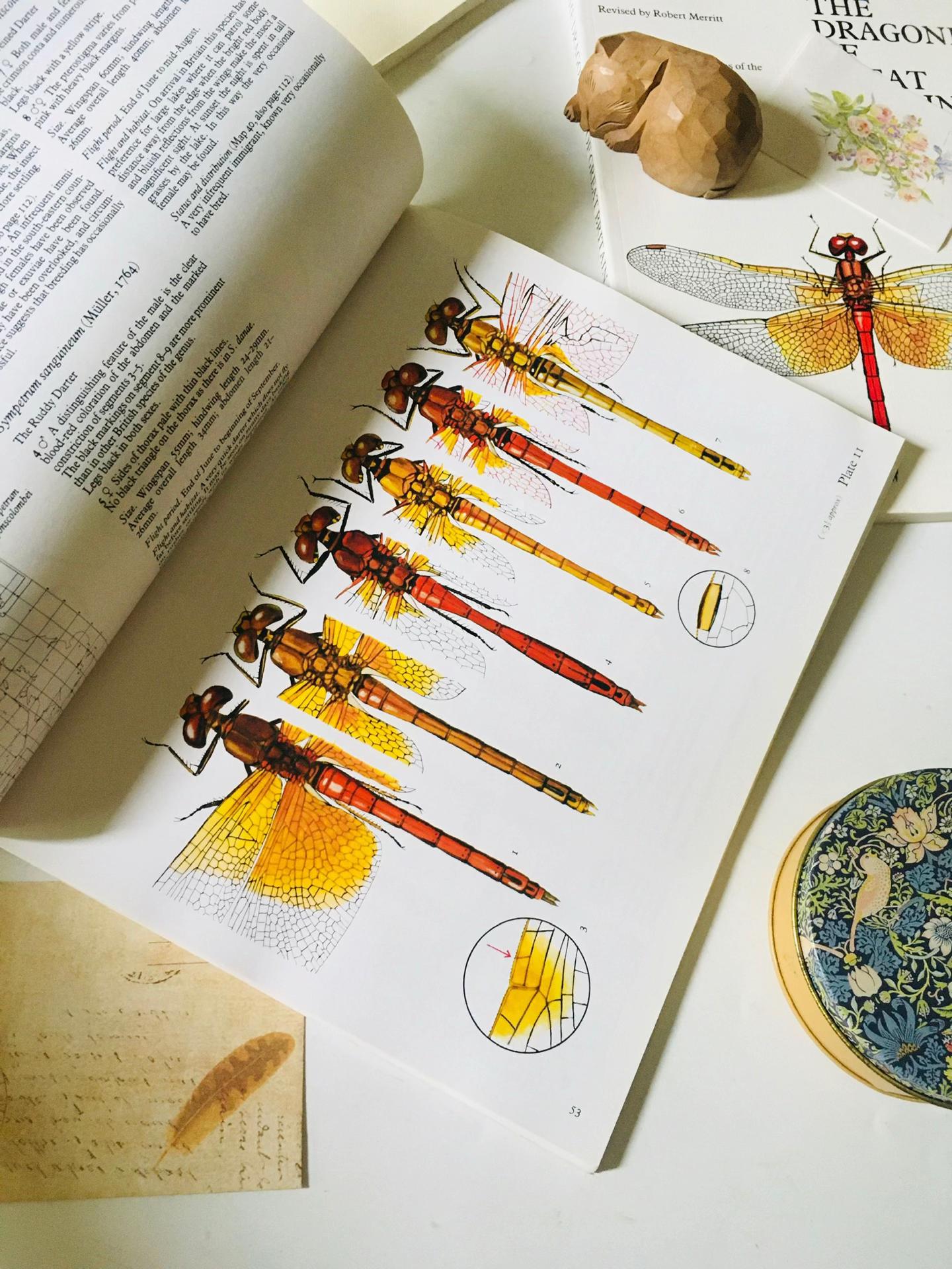 @KiraKira - Vintage.Books