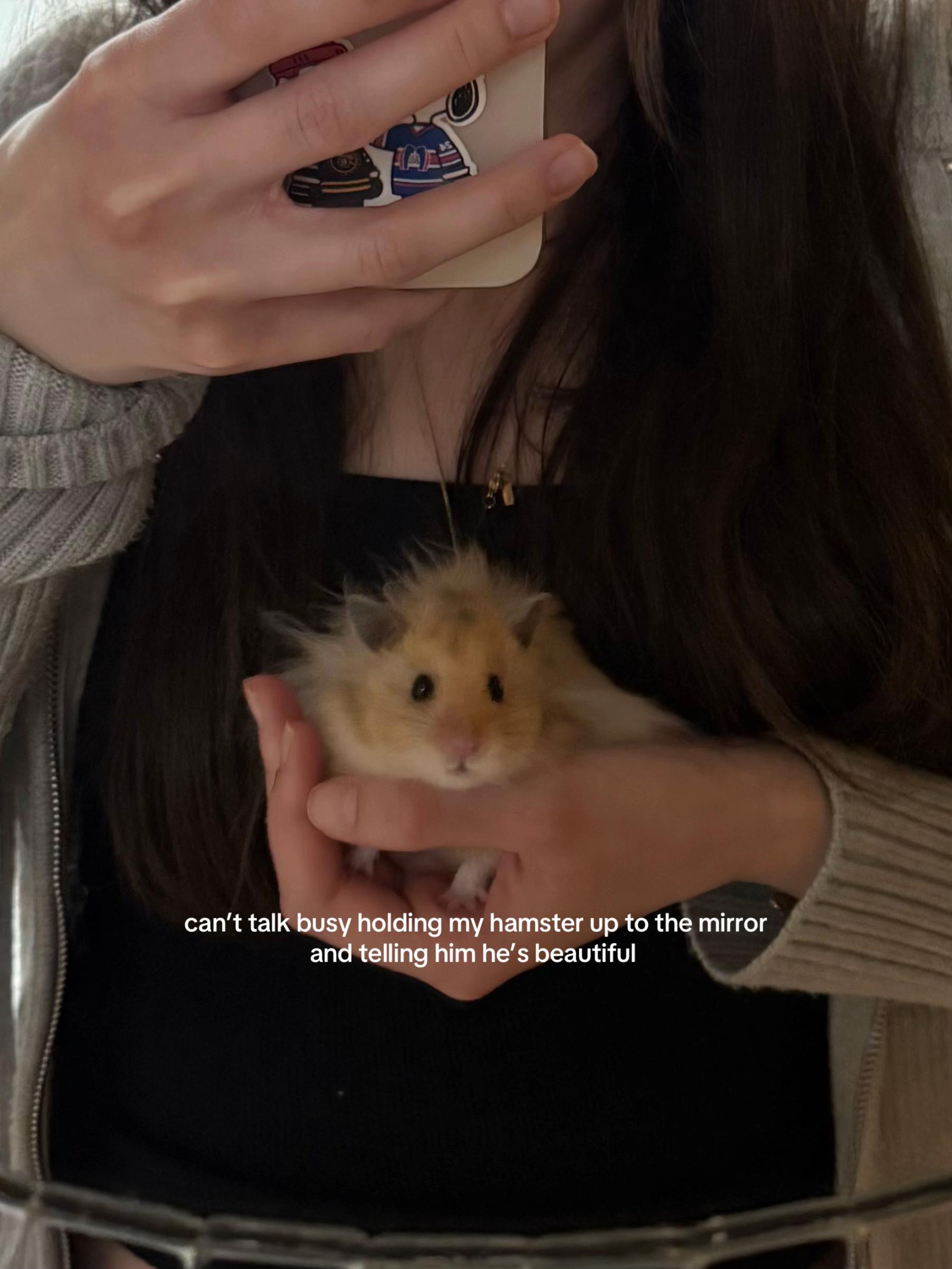 @hamsterwlw